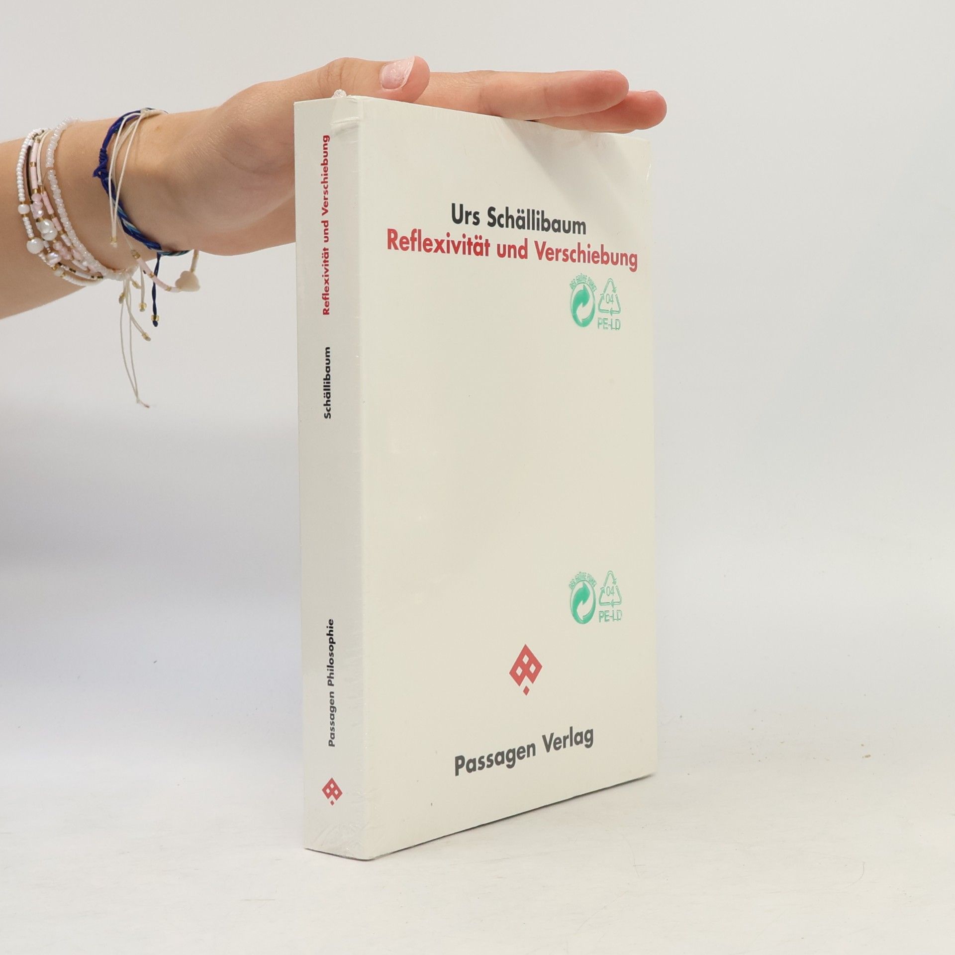 Urs Schällibaum Passagen Philosophie: Reflexivität und Verschiebung
