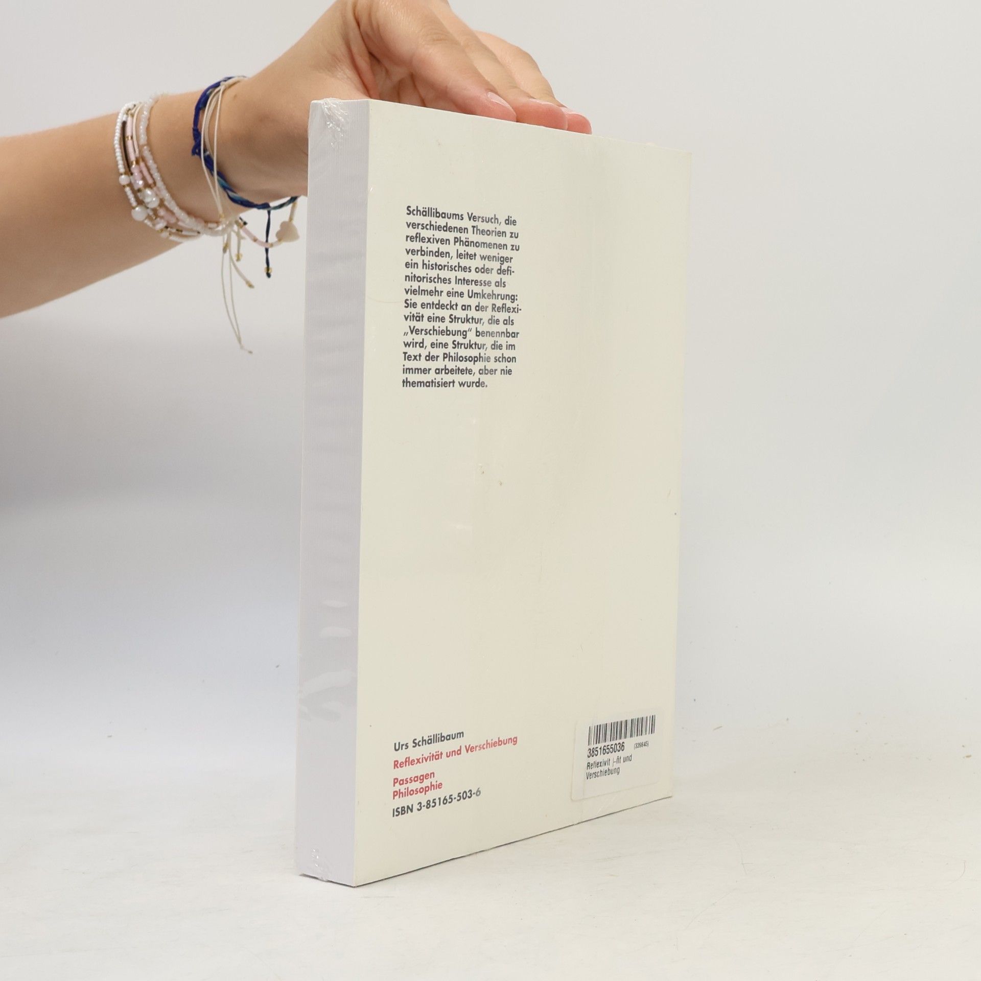 Urs Schällibaum Passagen Philosophie: Reflexivität und Verschiebung