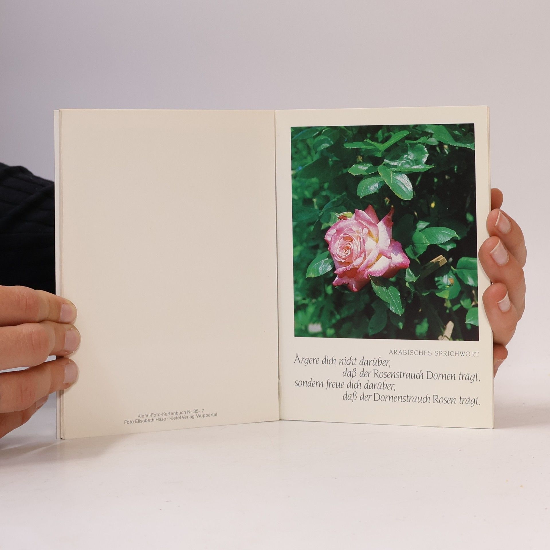Kiefel Fotokartenbuch - 35: Kostbare Kleinigkeiten
