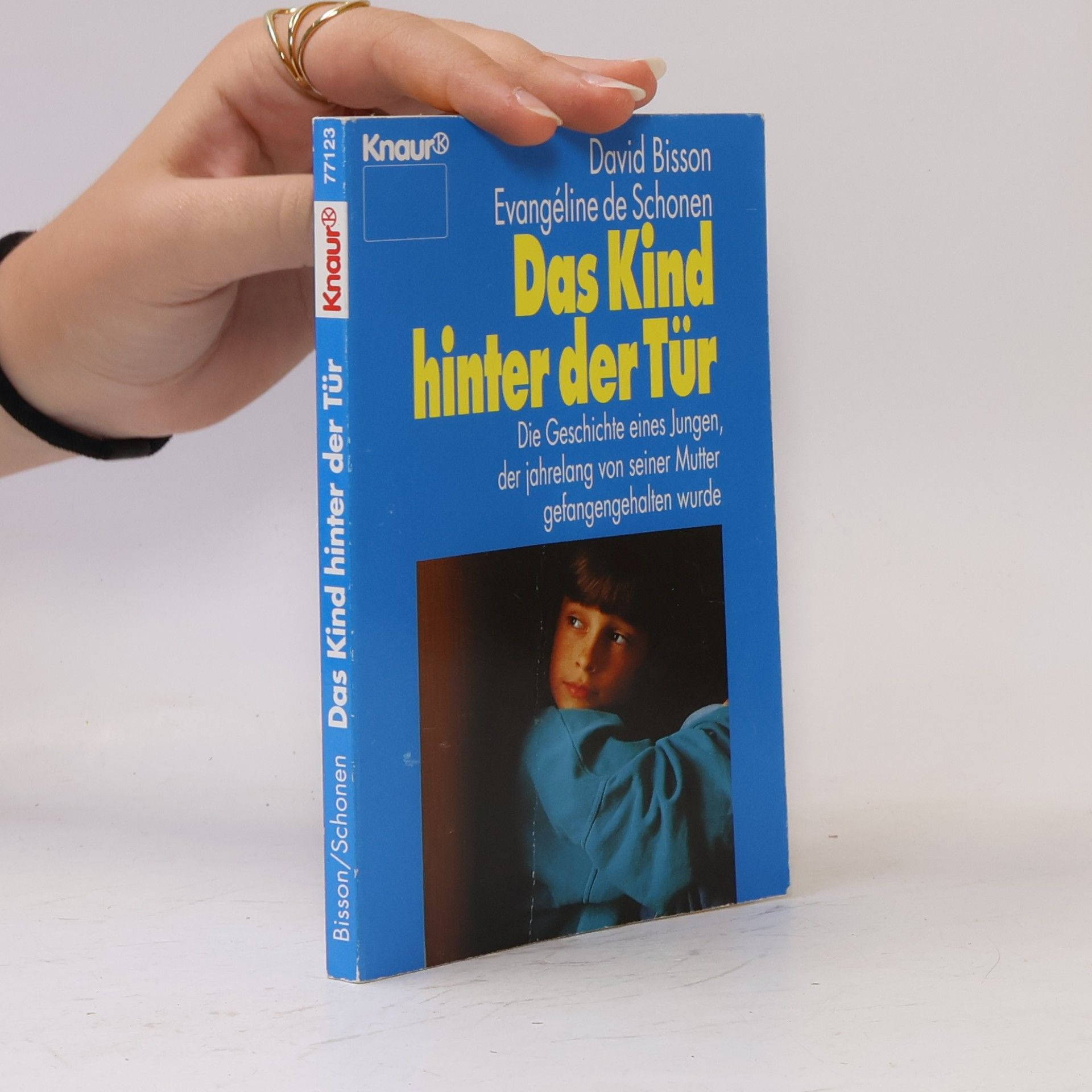 David Bisson Das Kind hinter der Tür