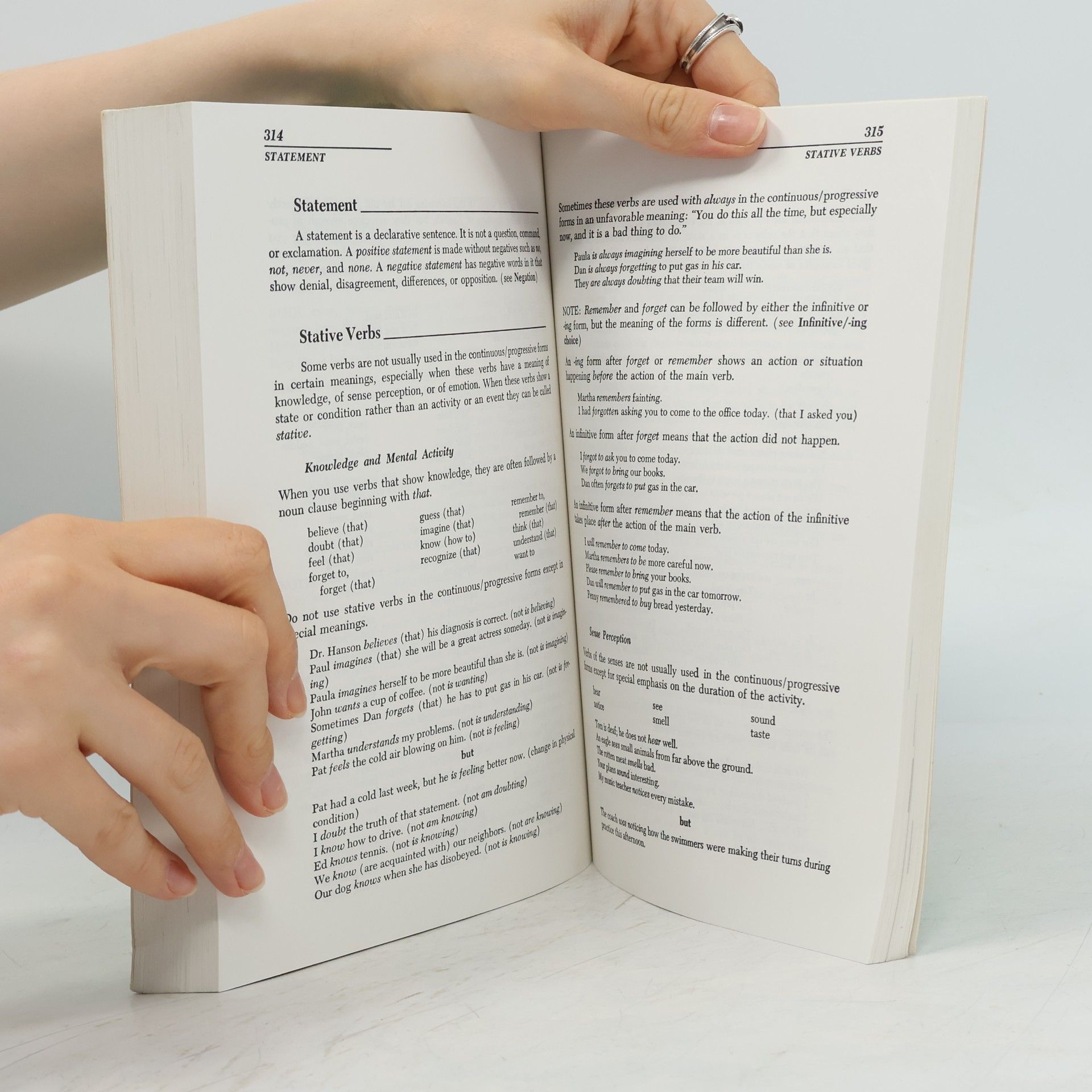 Alice Maclin Reference Guide to English : A Handbook of English as a Second Language