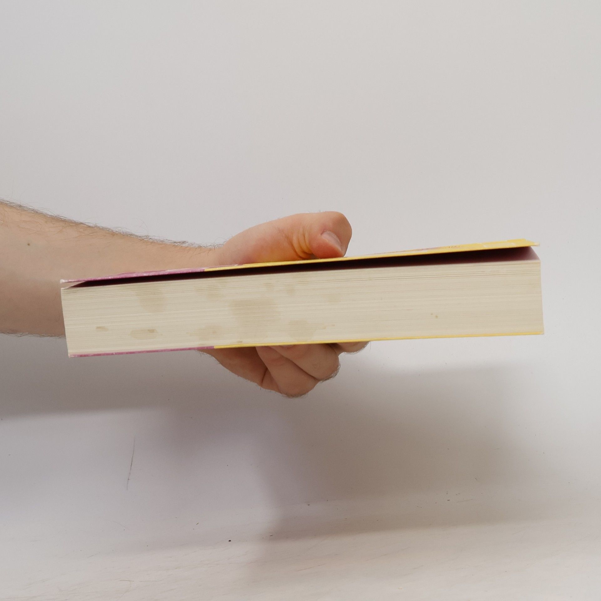 Lori Nelson Spielman Nur einen Horizont entfernt