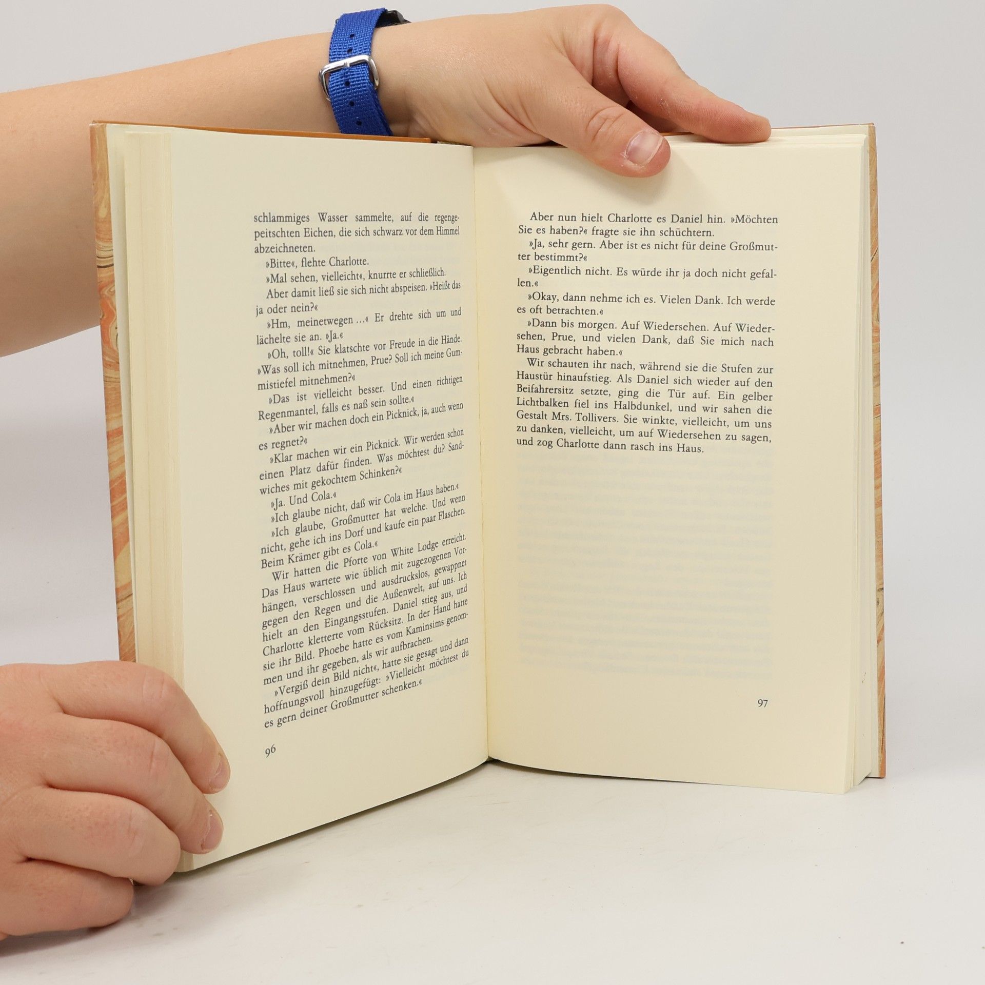 Rosamunde Pilcher Karussell des Lebens
