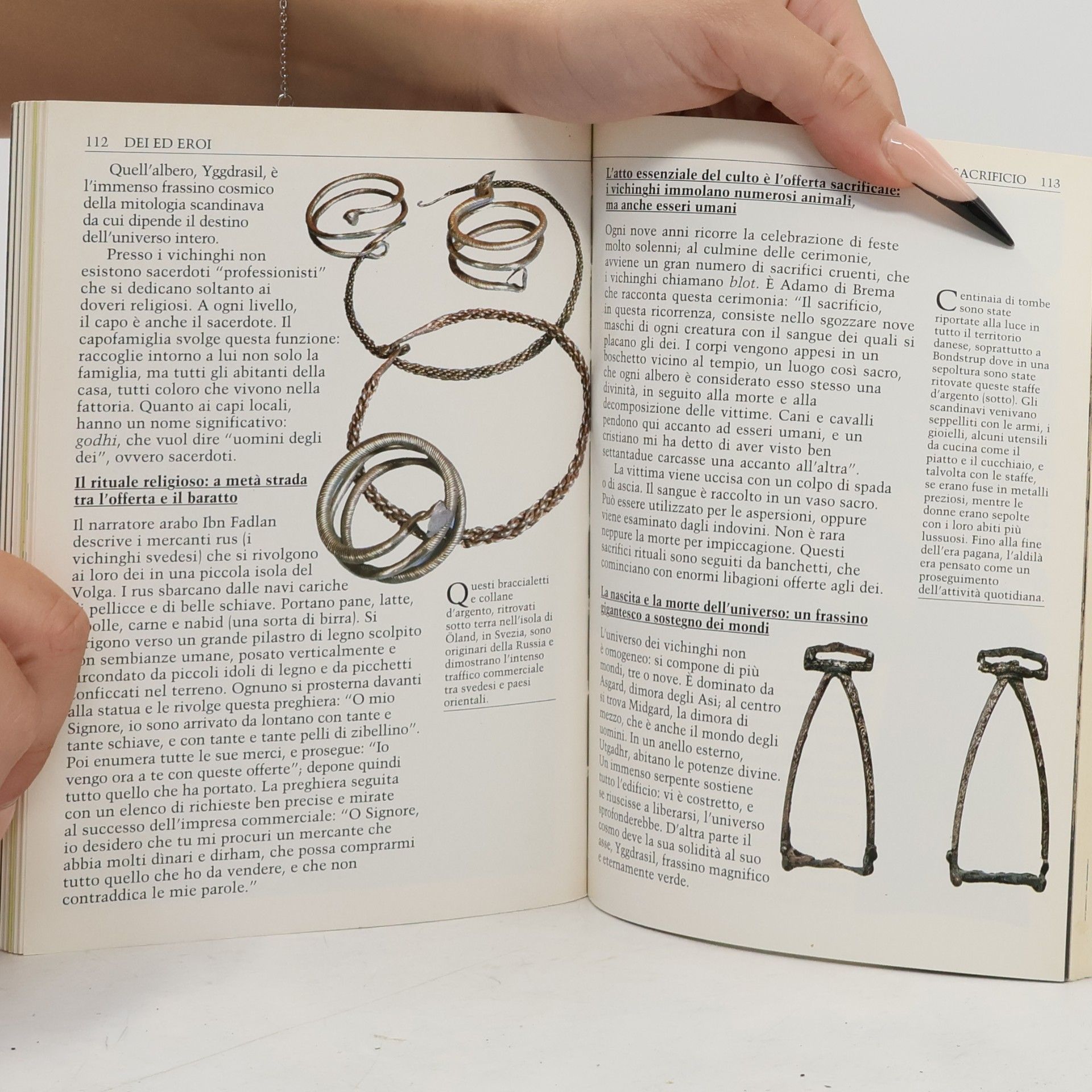 Yves Cohat I Vichinghi