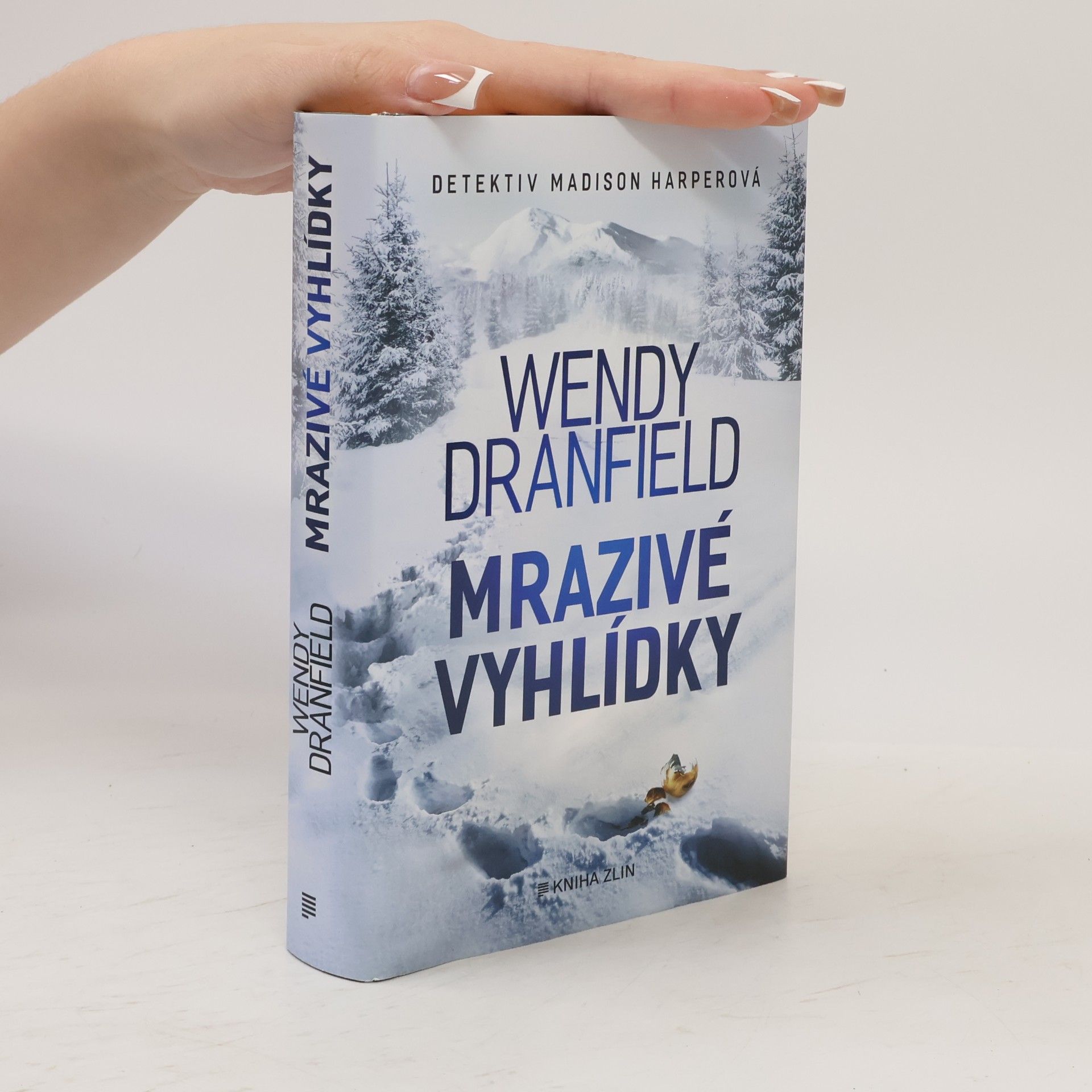 Wendy Dranfield Mrazivé vyhlídky