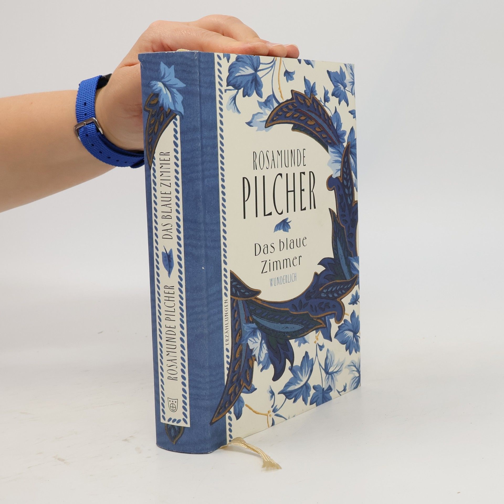 Rosamunde Pilcher Das blaue Zimmer