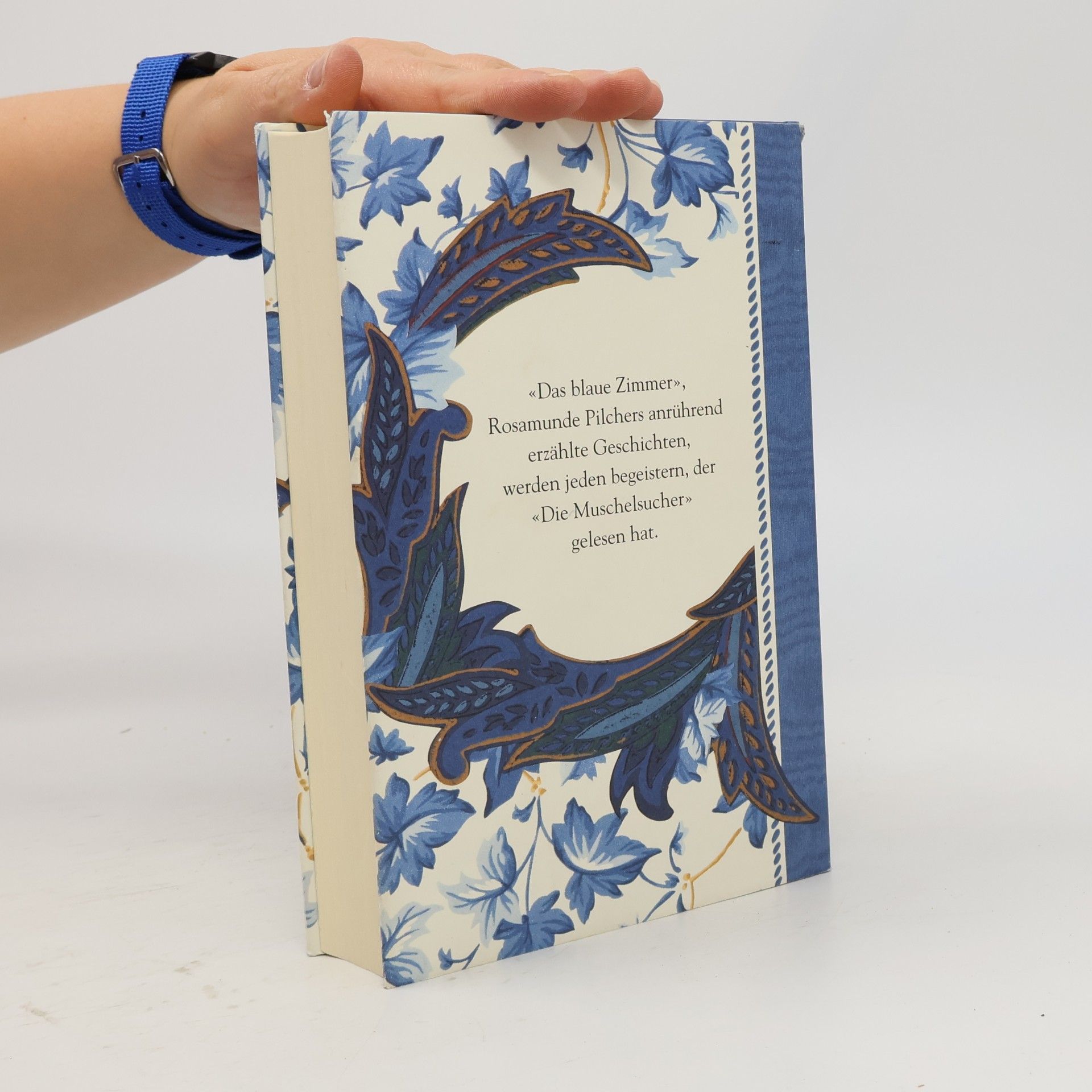 Rosamunde Pilcher Das blaue Zimmer