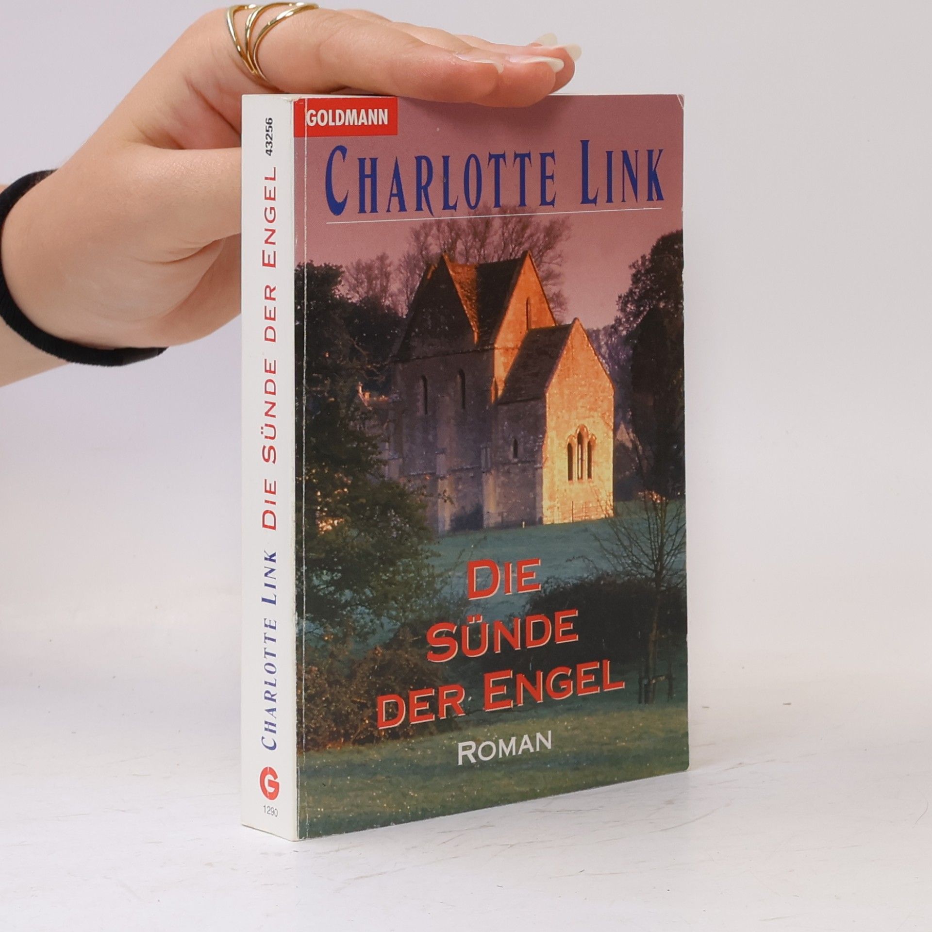 Charlotte Link Die Sünde der Engel