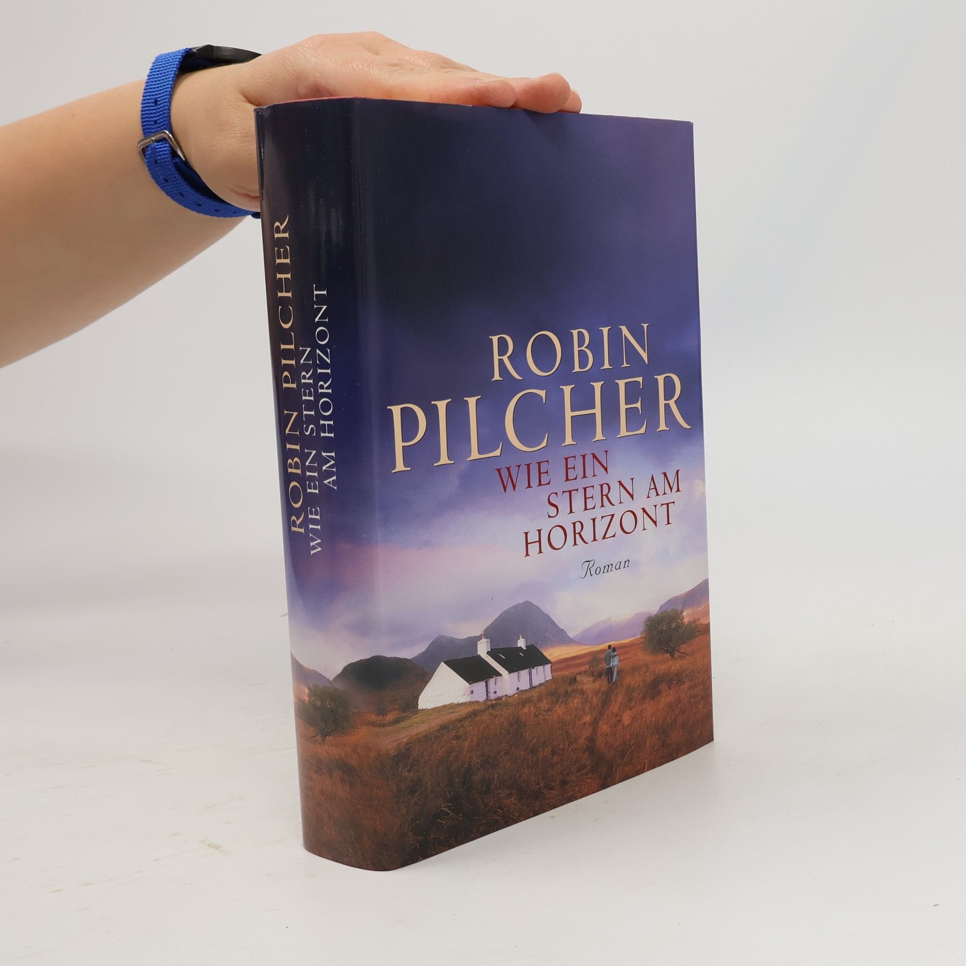 Robin Pilcher Wie ein Stern am Horizont