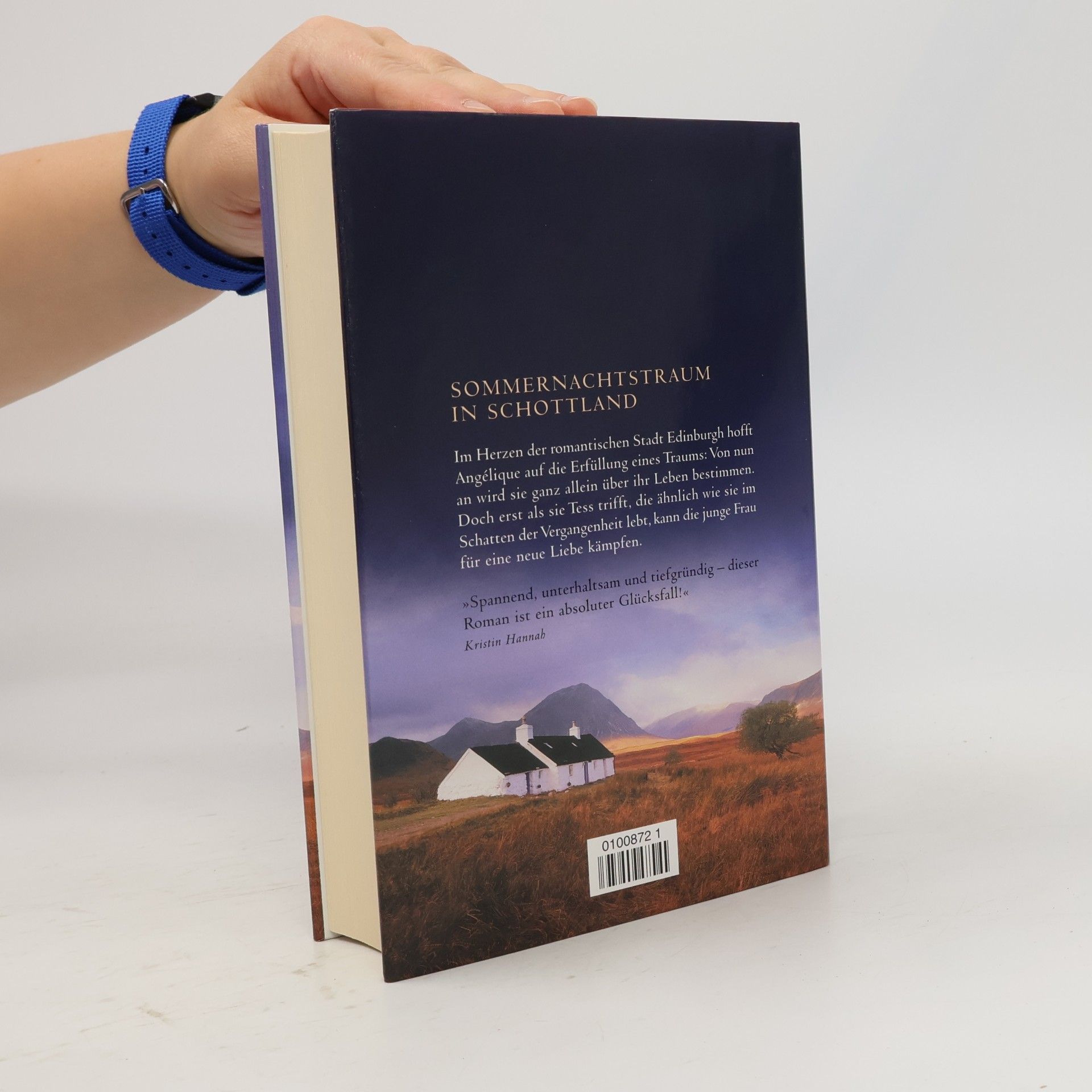 Robin Pilcher Wie ein Stern am Horizont
