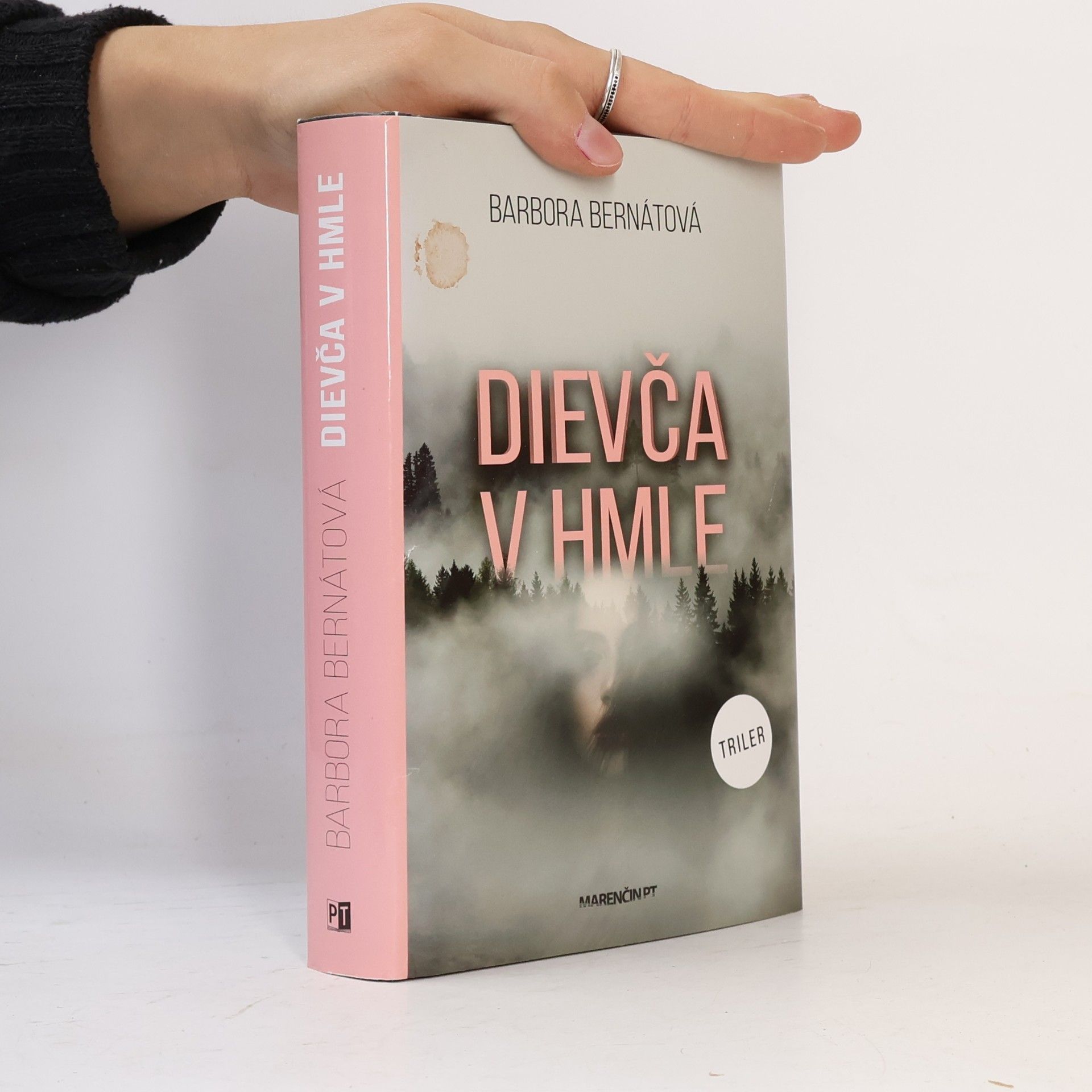 Barbora Bernátová Dievča v hmle