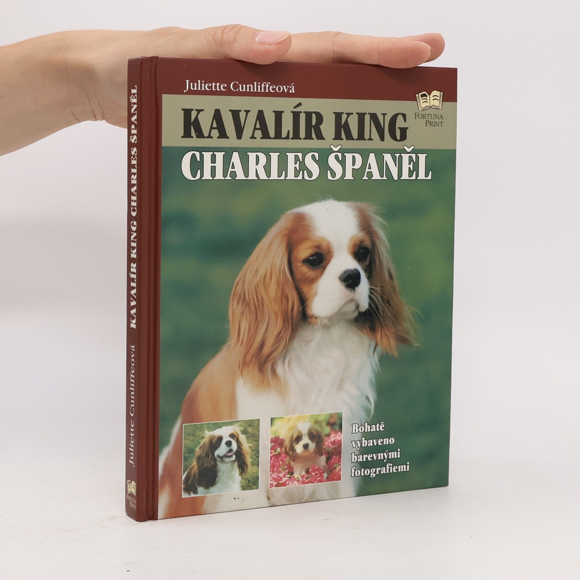 Juliette Cunliffe Kavalír king Charles španěl