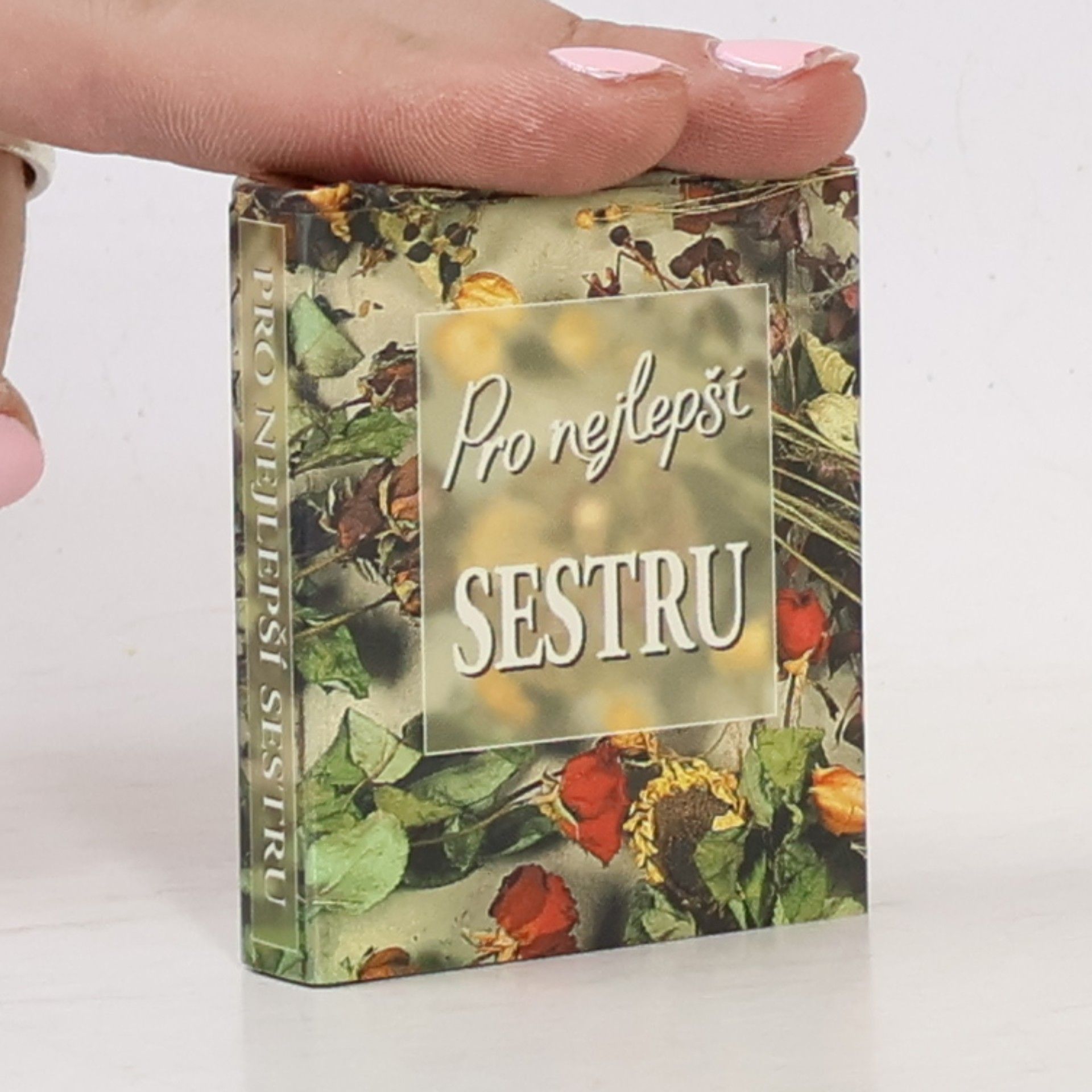 Collectif d'auteurs Pro nejlepší sestru