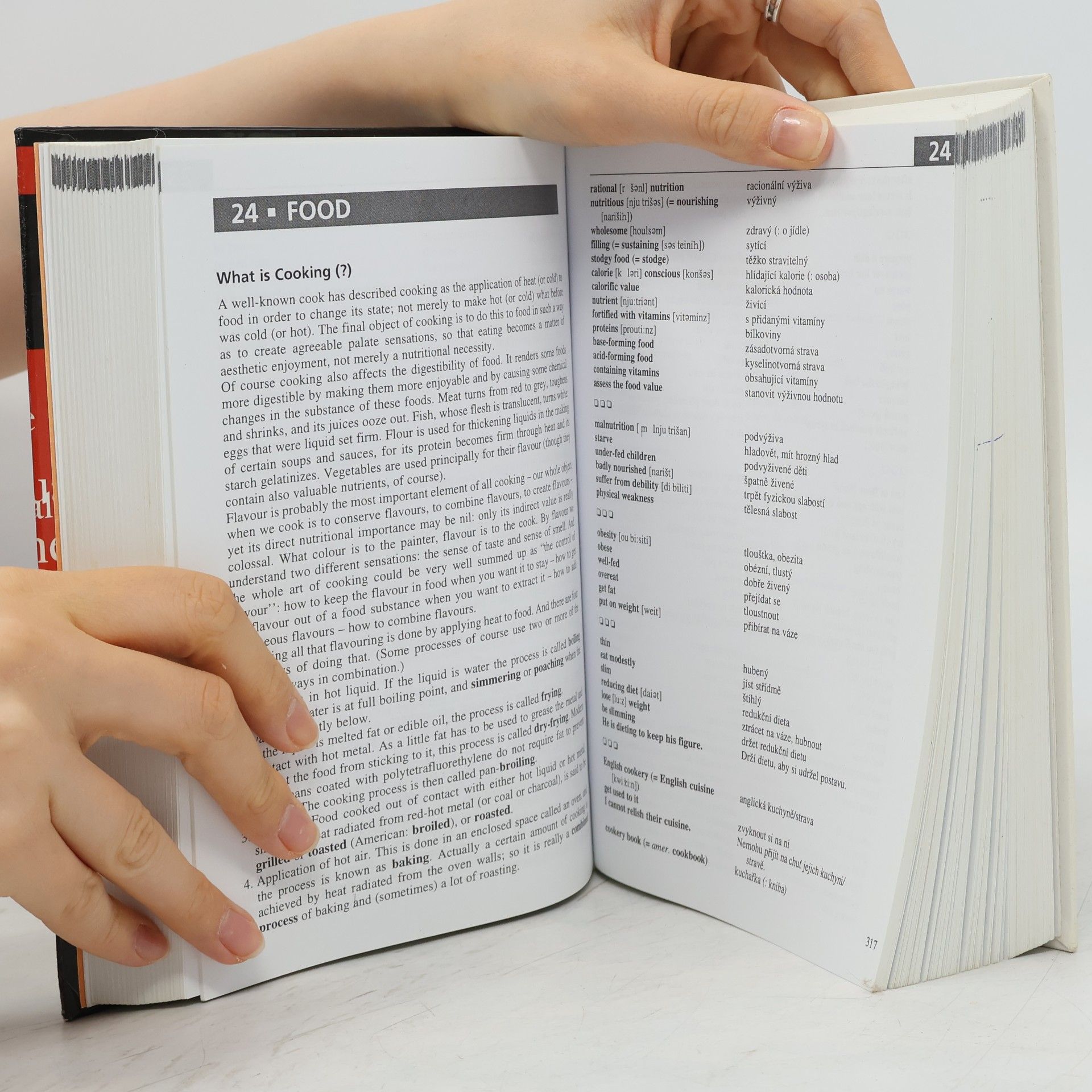 Sergej Tryml A Guide to Active English Conversation
