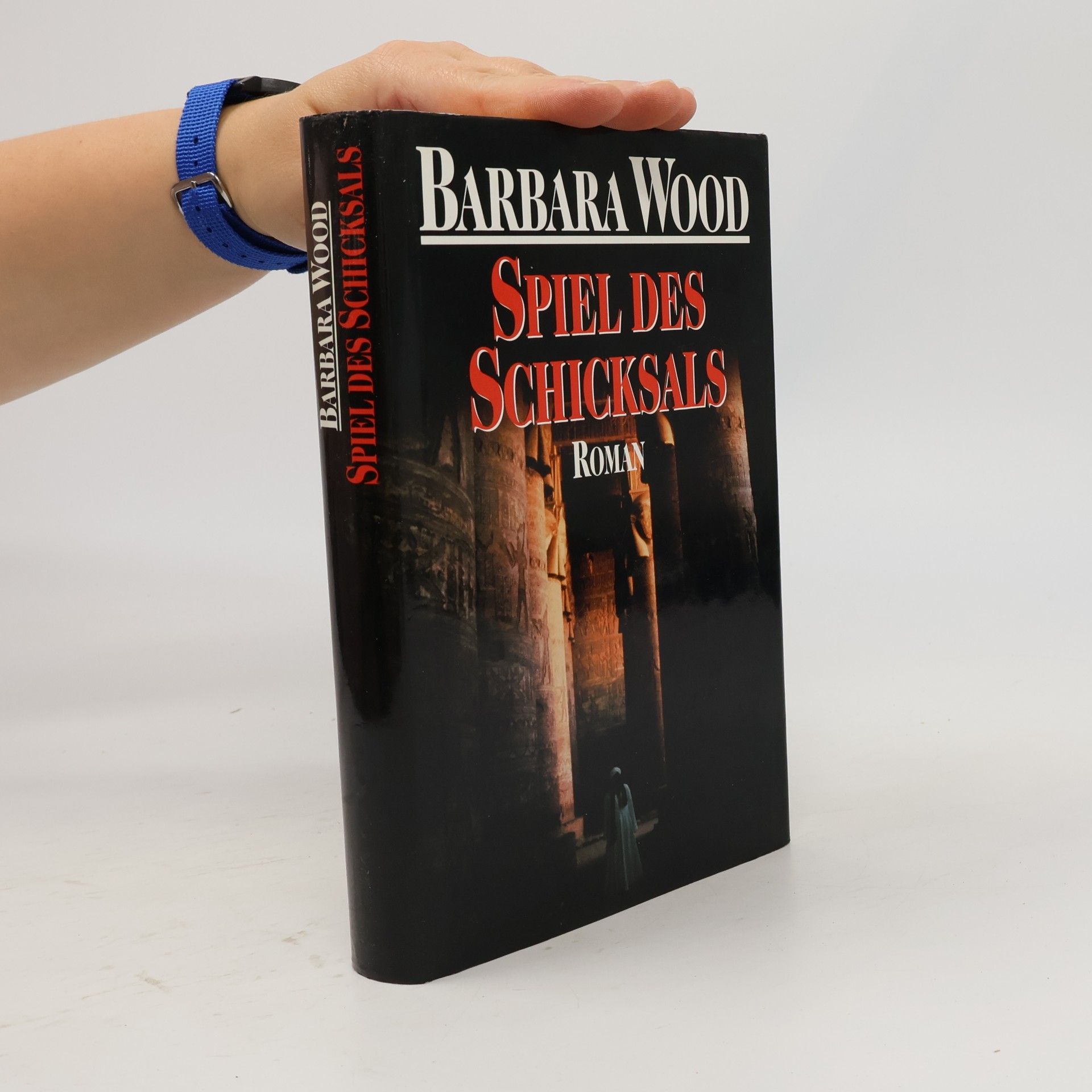 Barbara Wood Spiel des Schicksals