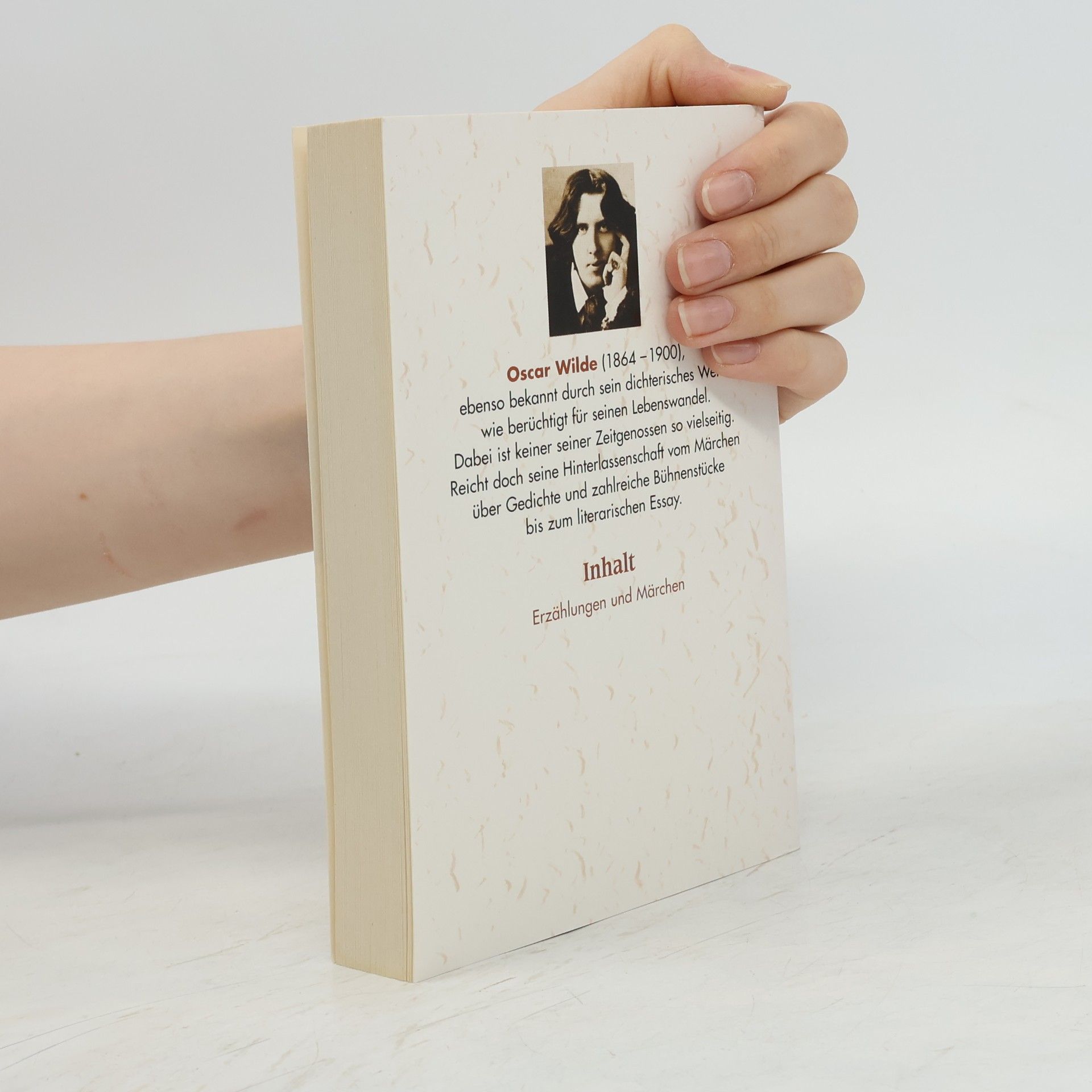 Oscar Wilde Sämtliche Werke 1