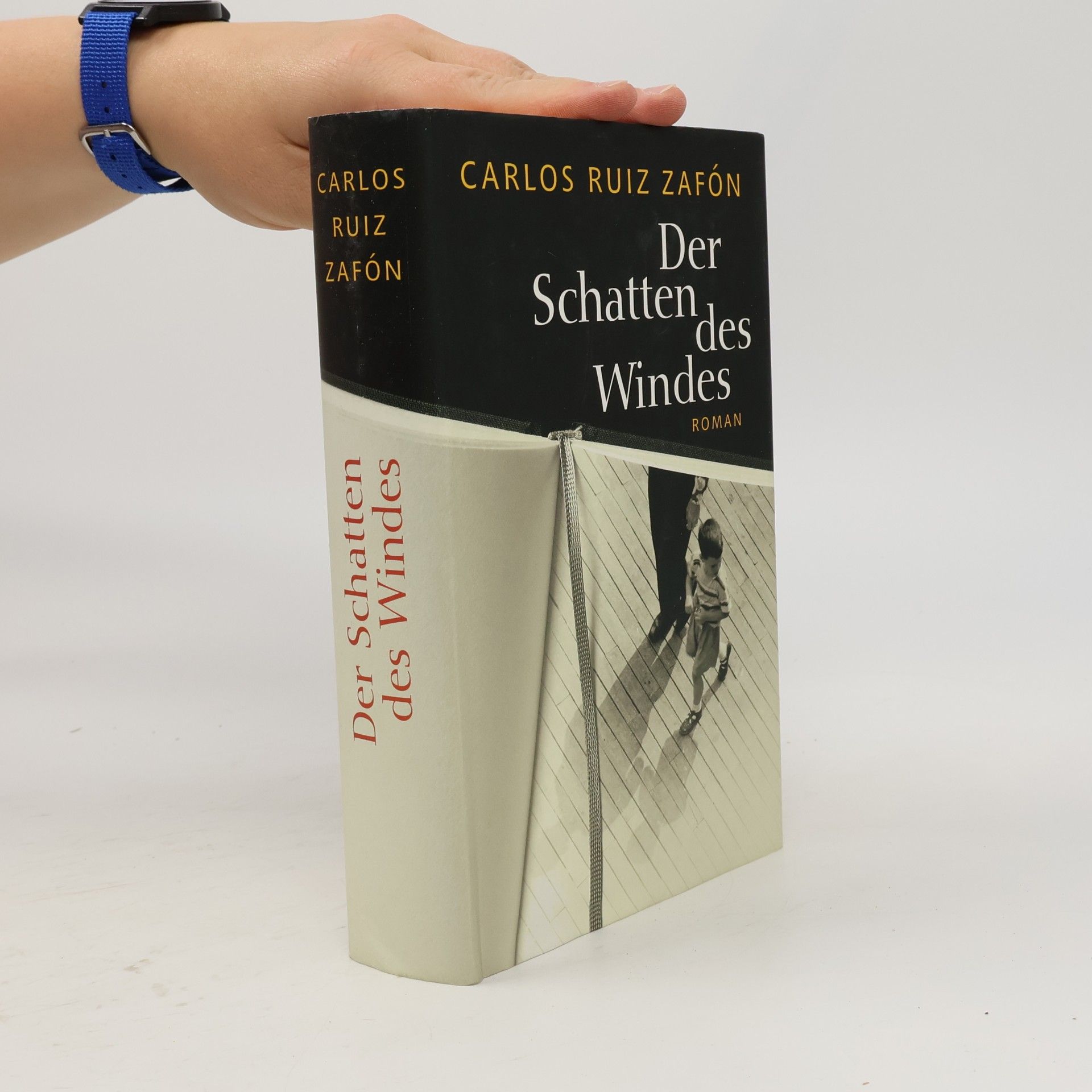 Carlos Ruiz Zafón Der Schatten des Windes