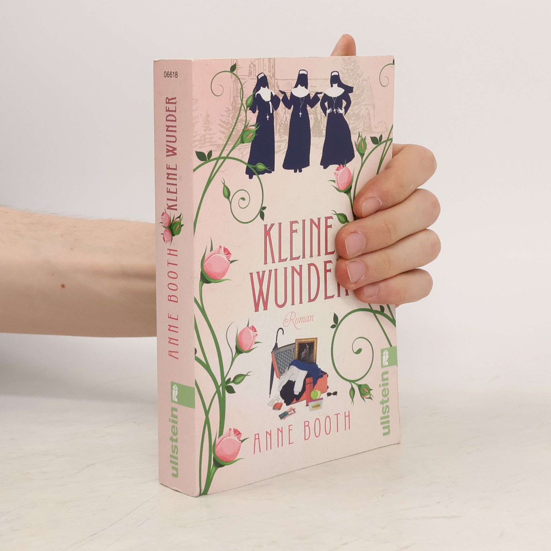 Anne Booth Kleine Wunder