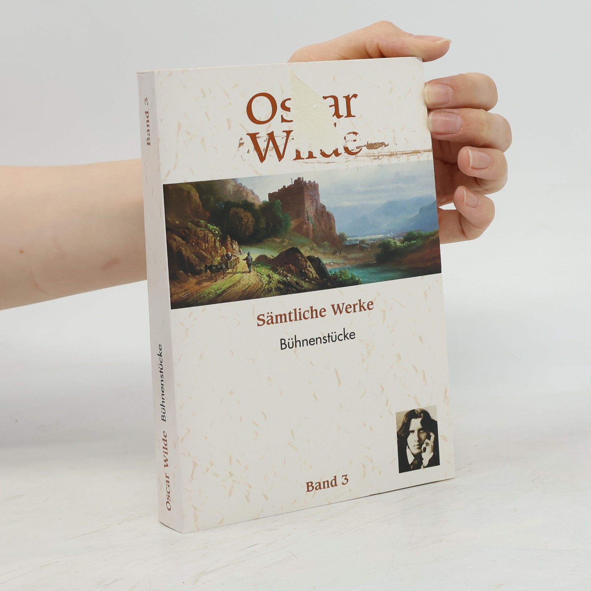Oscar Wilde Sämtliche Werke 3