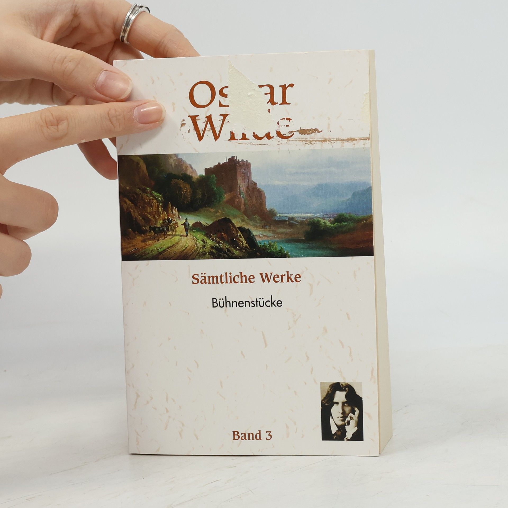 Oscar Wilde Sämtliche Werke 3