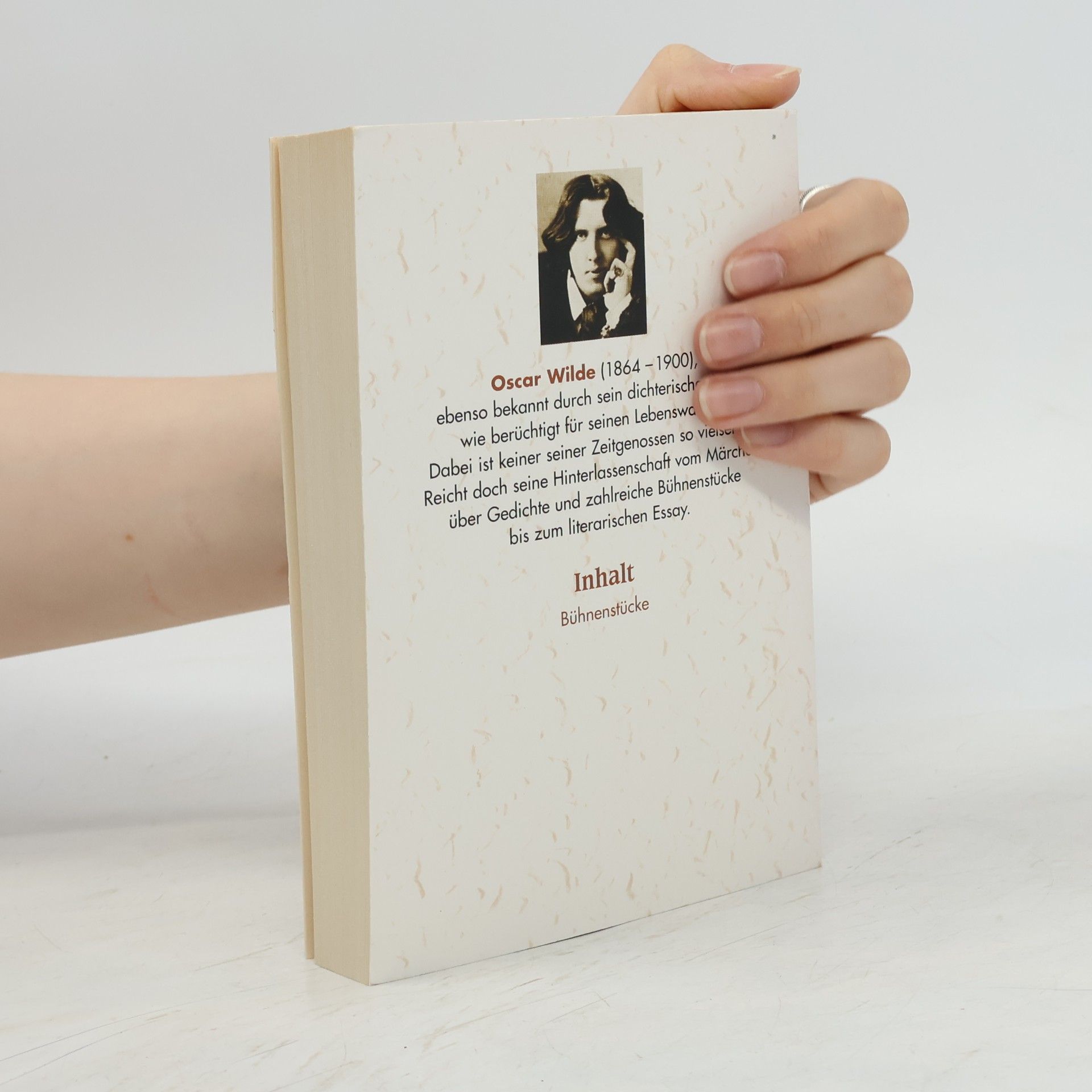Oscar Wilde Sämtliche Werke 3