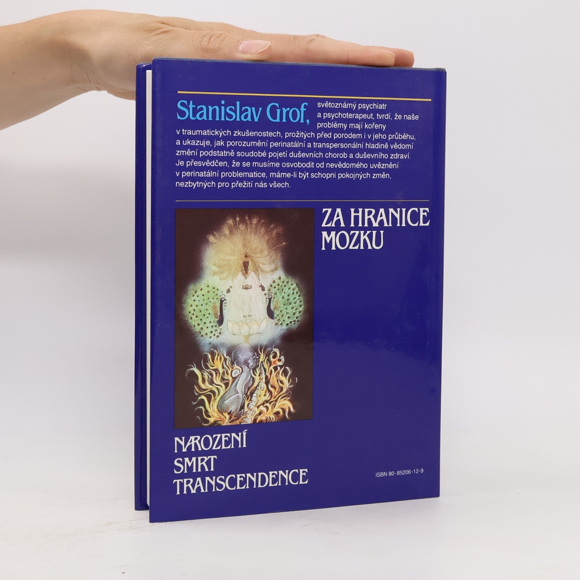 Stanislav Grof Za hranice mozku. Narození, smrt, transcendence