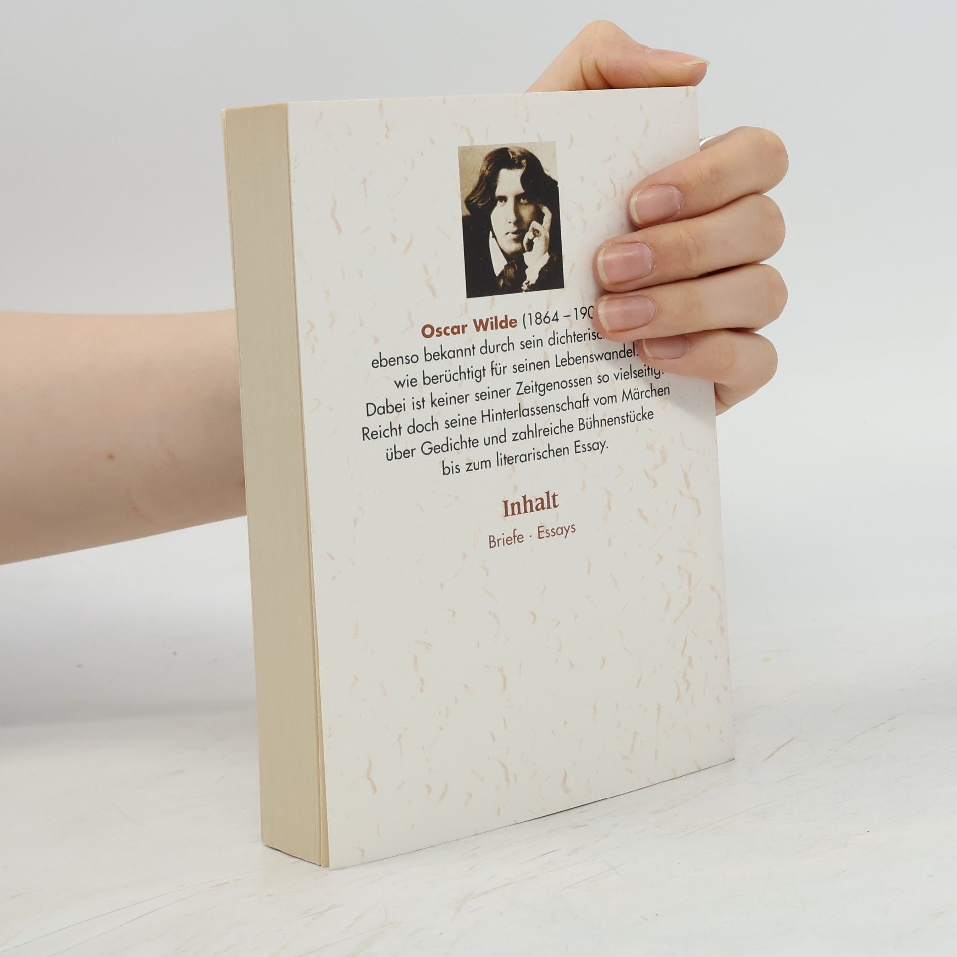 Oscar Wilde Sämtliche Werke - Band 4
