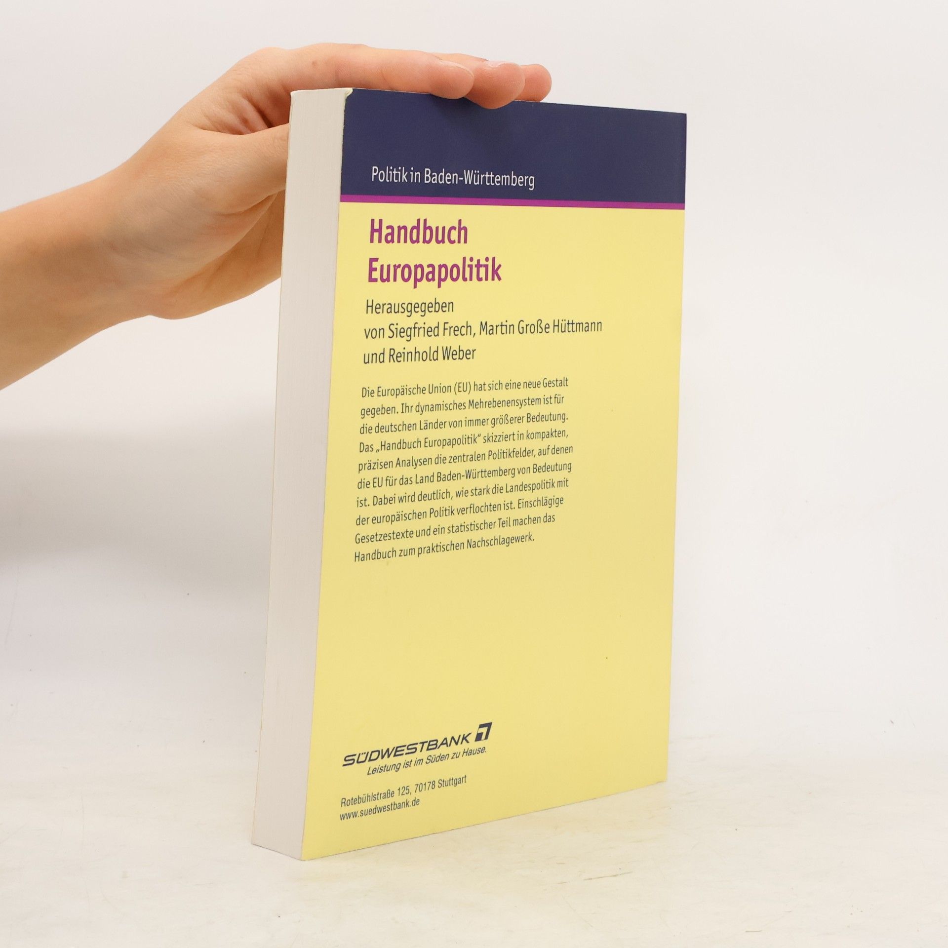 Martin Große Hüttmann Handbuch Europapolitik