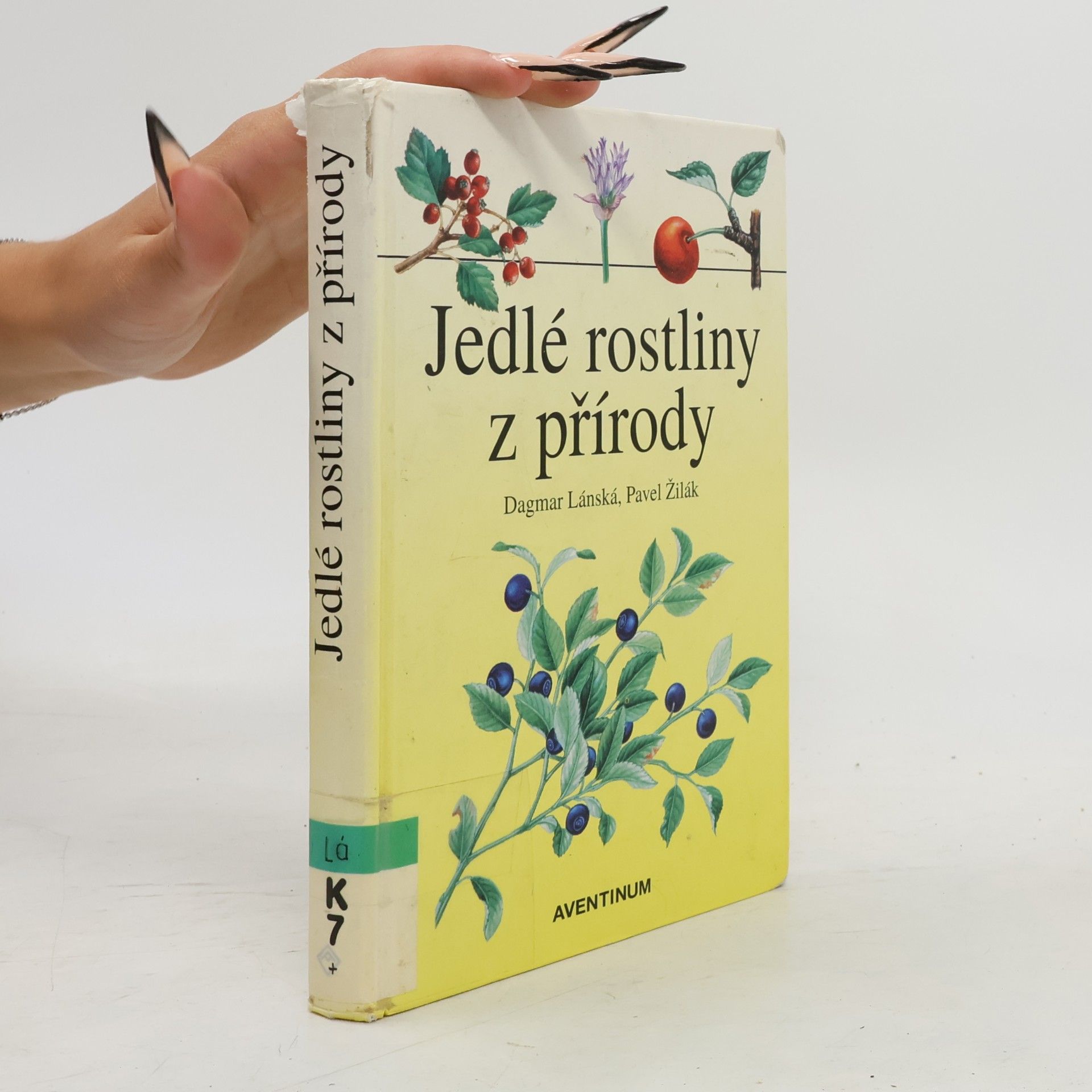Dagmar Lánská Jedlé rostliny z přírody