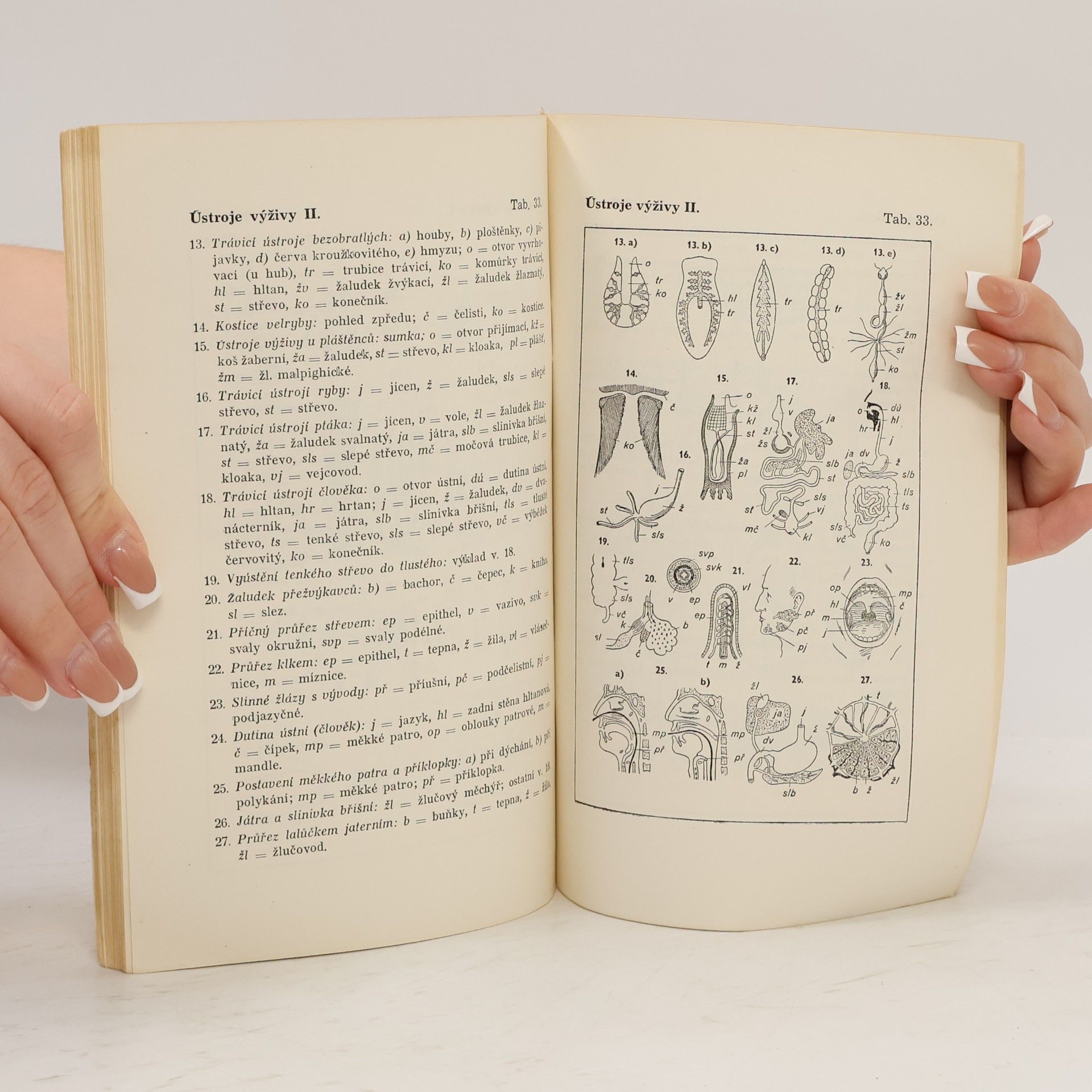 Miroslav Fendrych Biologický atlas: Příloha k čtvrtému doplněnému vydání přehledu biologie