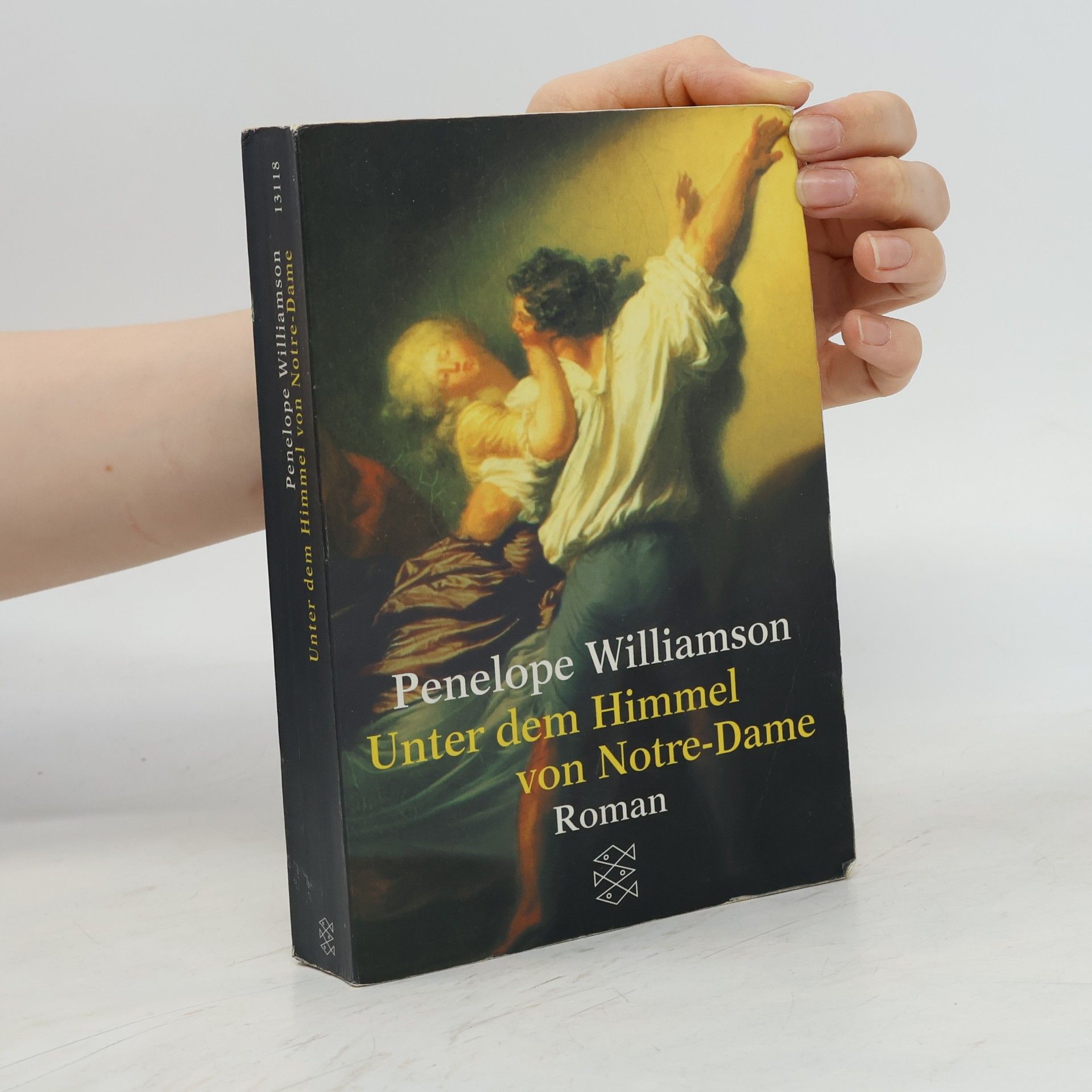 Penelope Williamson Unter dem Himmel von Notre-Dame