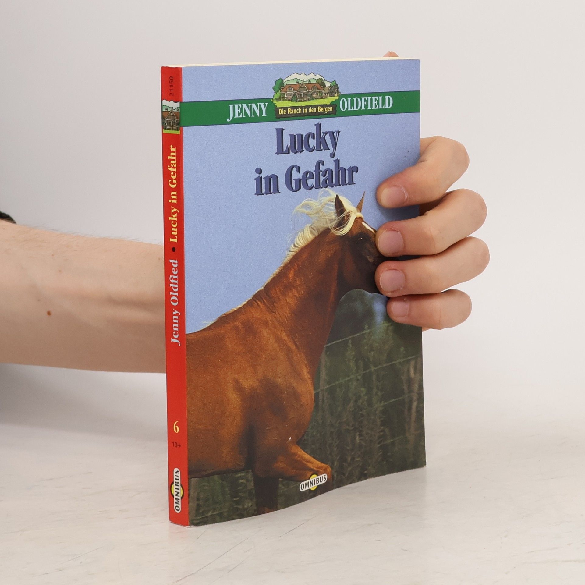 Jenny Oldfield Die Ranch in den Bergen