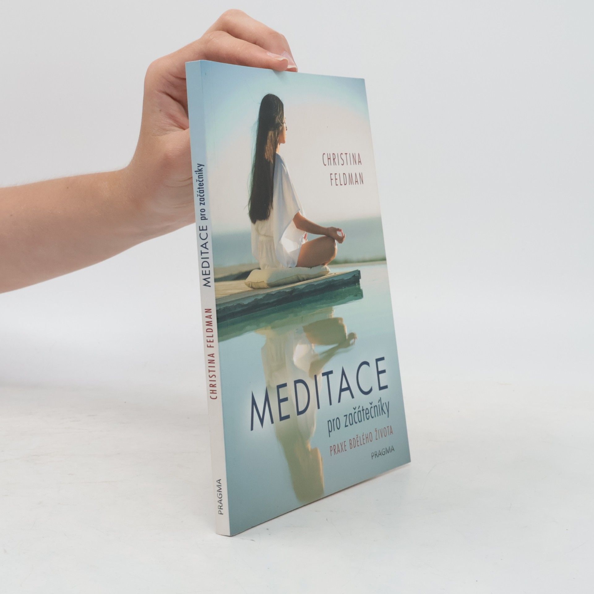 Christina Feldman Meditace pro začátečníky. Praxe bdělého života