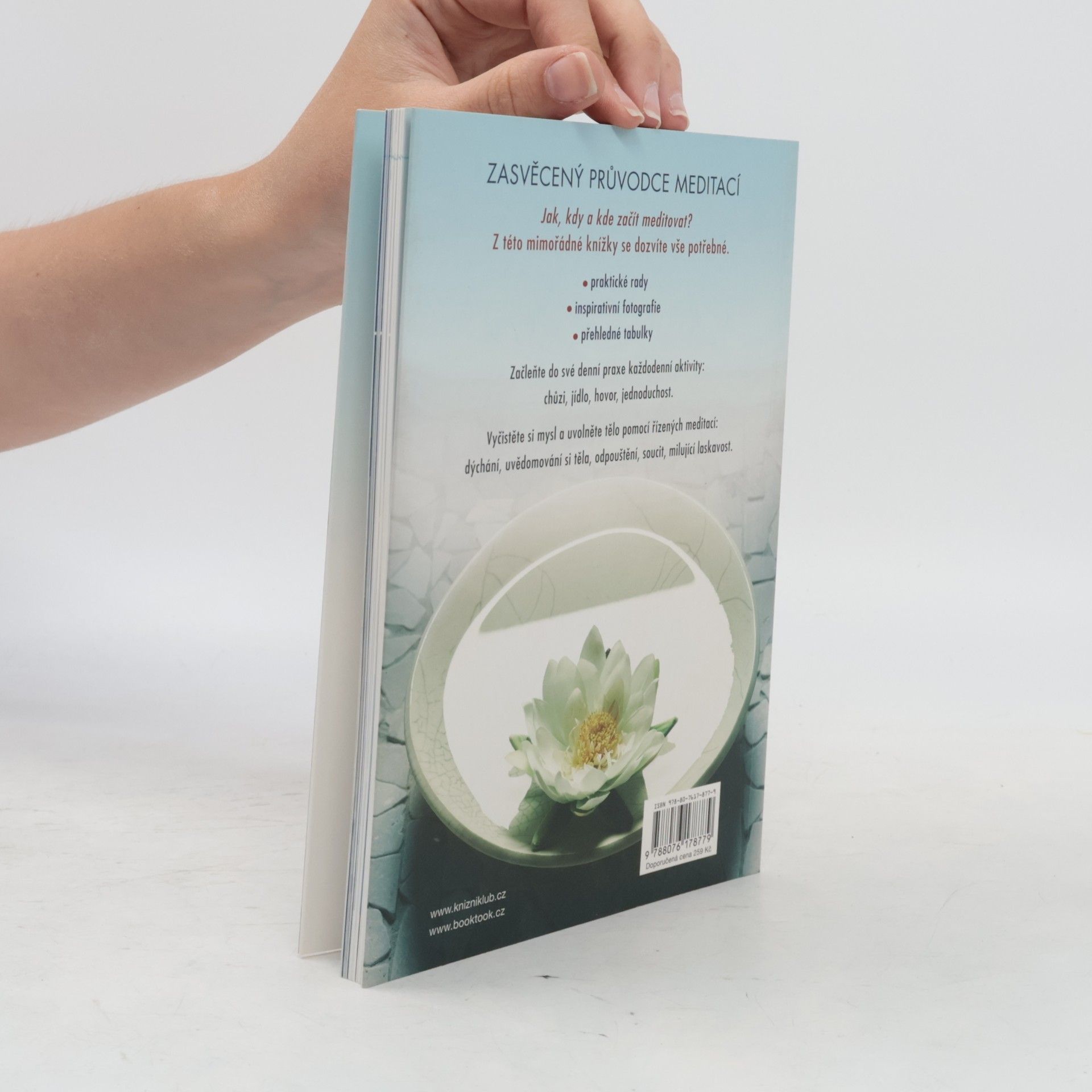 Christina Feldman Meditace pro začátečníky. Praxe bdělého života