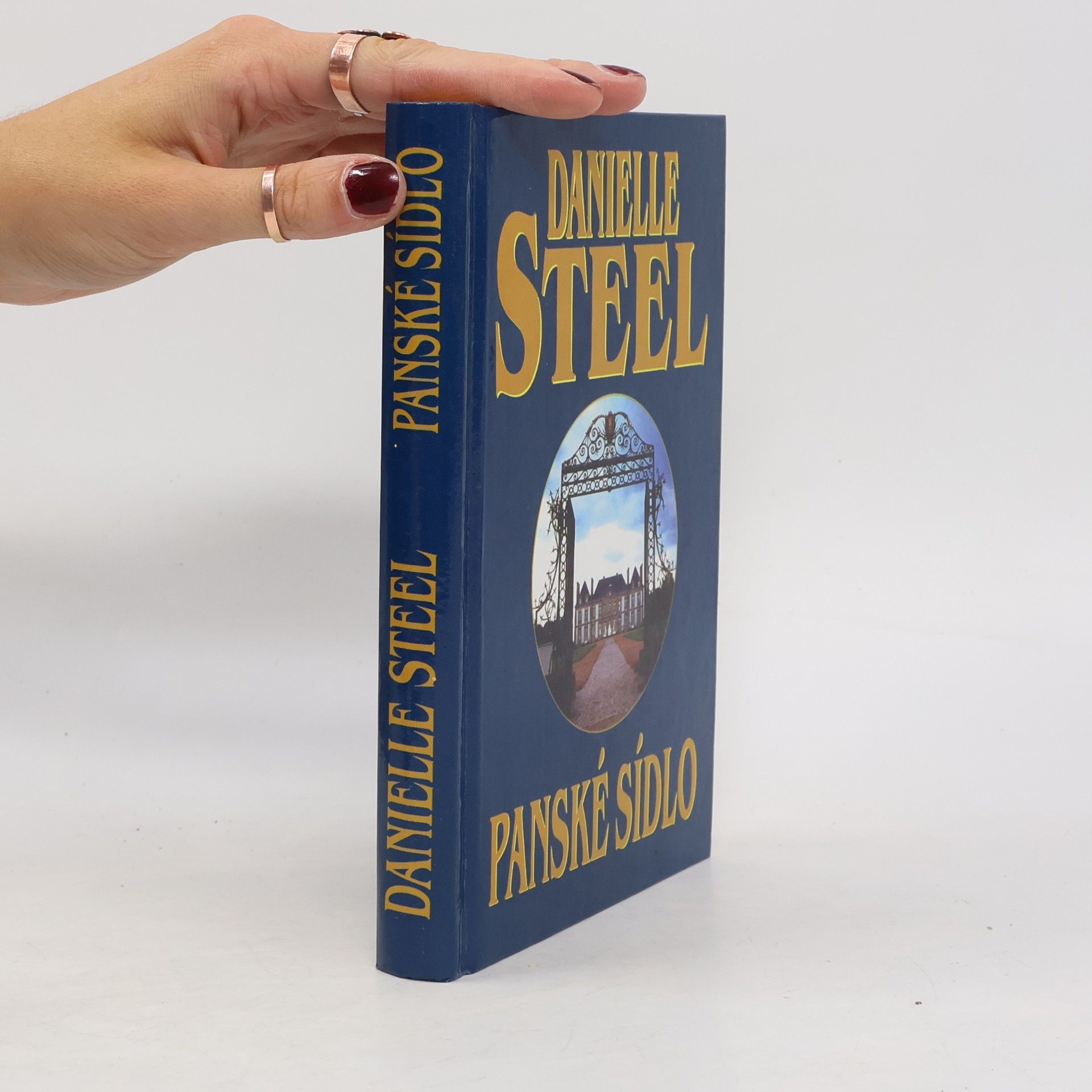 Danielle Steel Panské sídlo