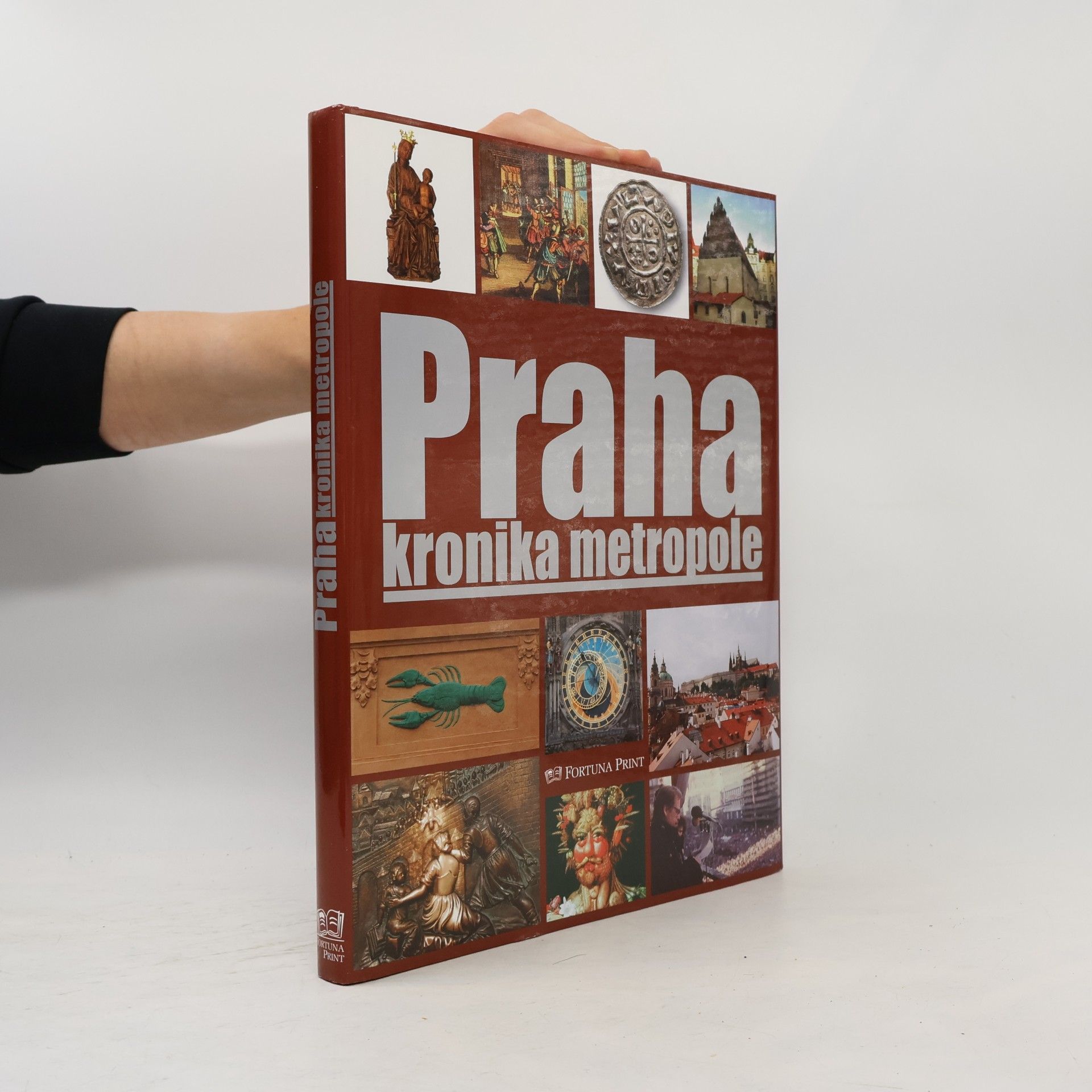 Pavel Bělina Praha : kronika metropole