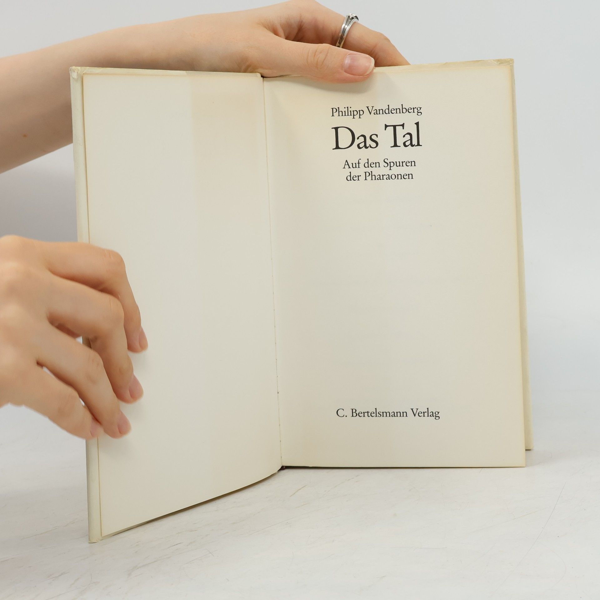 Philipp Vandenberg Das Tal