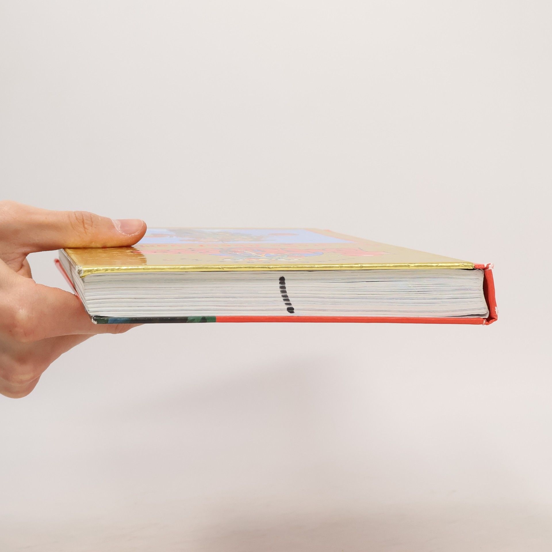 Thomas Brezina Tom Turbo. Das grosse Abenteuerbuch