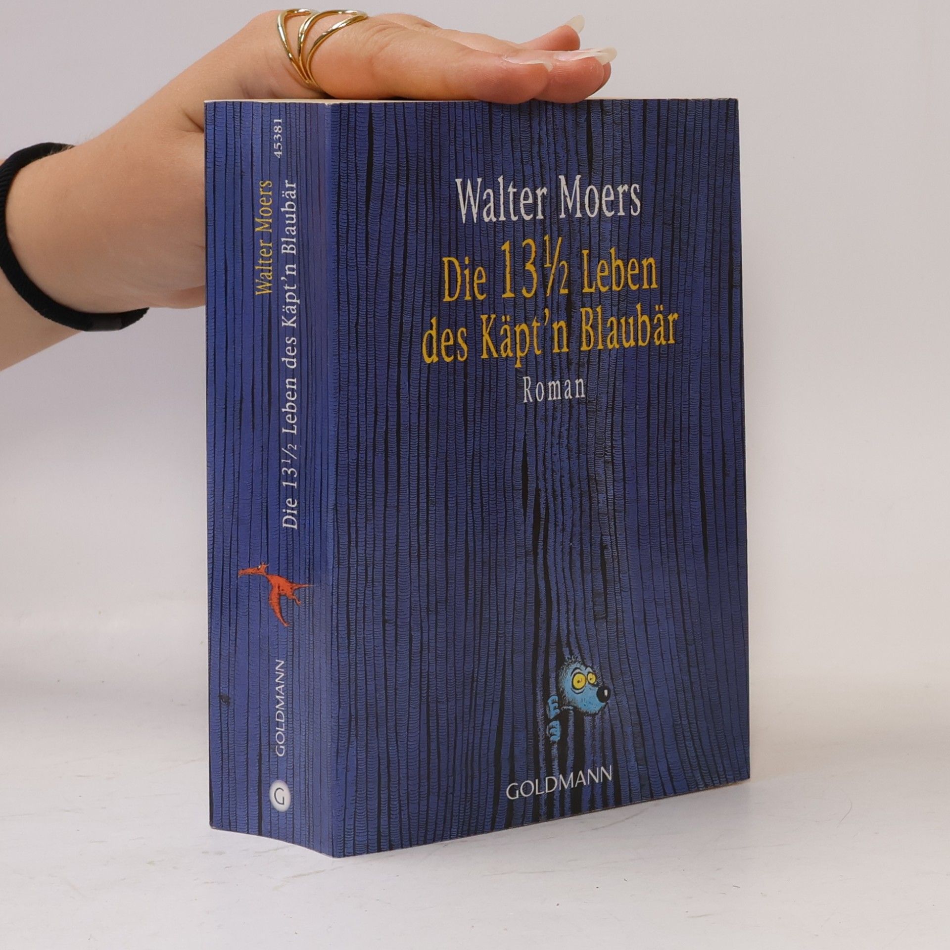 Walter Moers Die 13 1/2 Leben des Käpt'n Blaubär