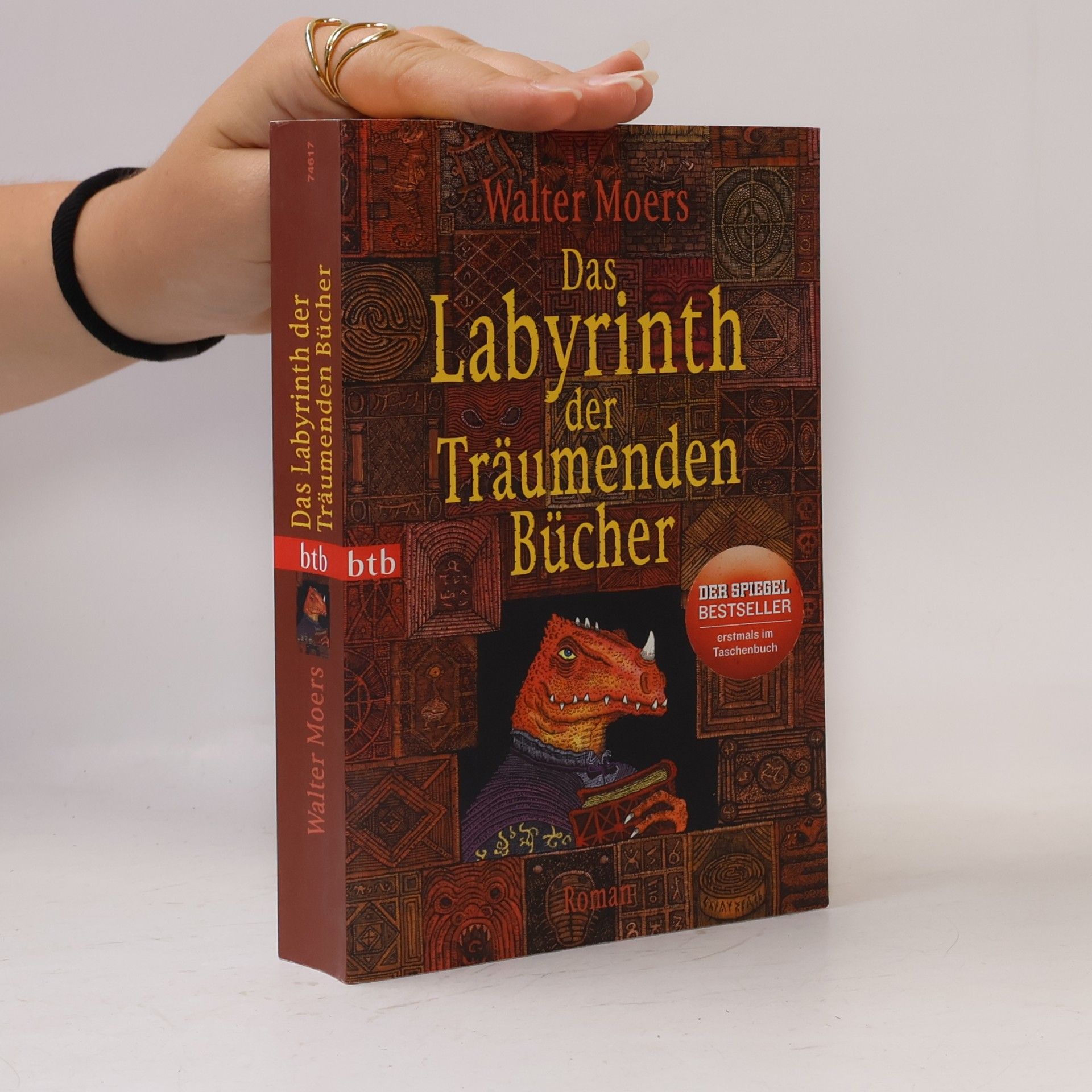Walter Moers Das Labyrinth der Träumenden Bücher