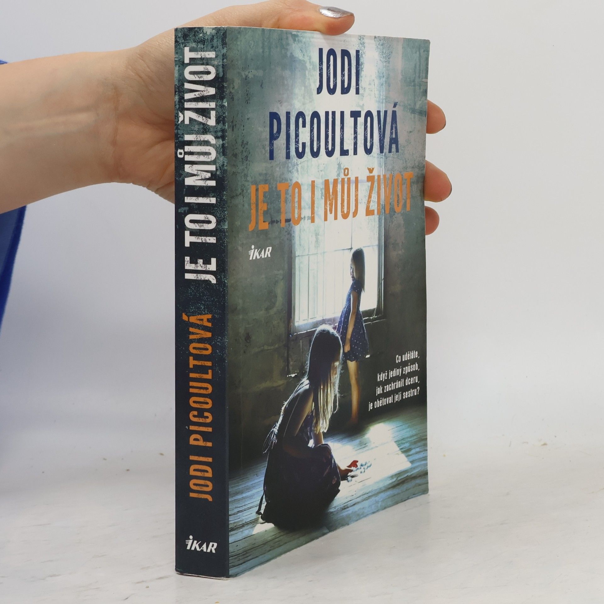 Jodi Picoult Je to i můj život