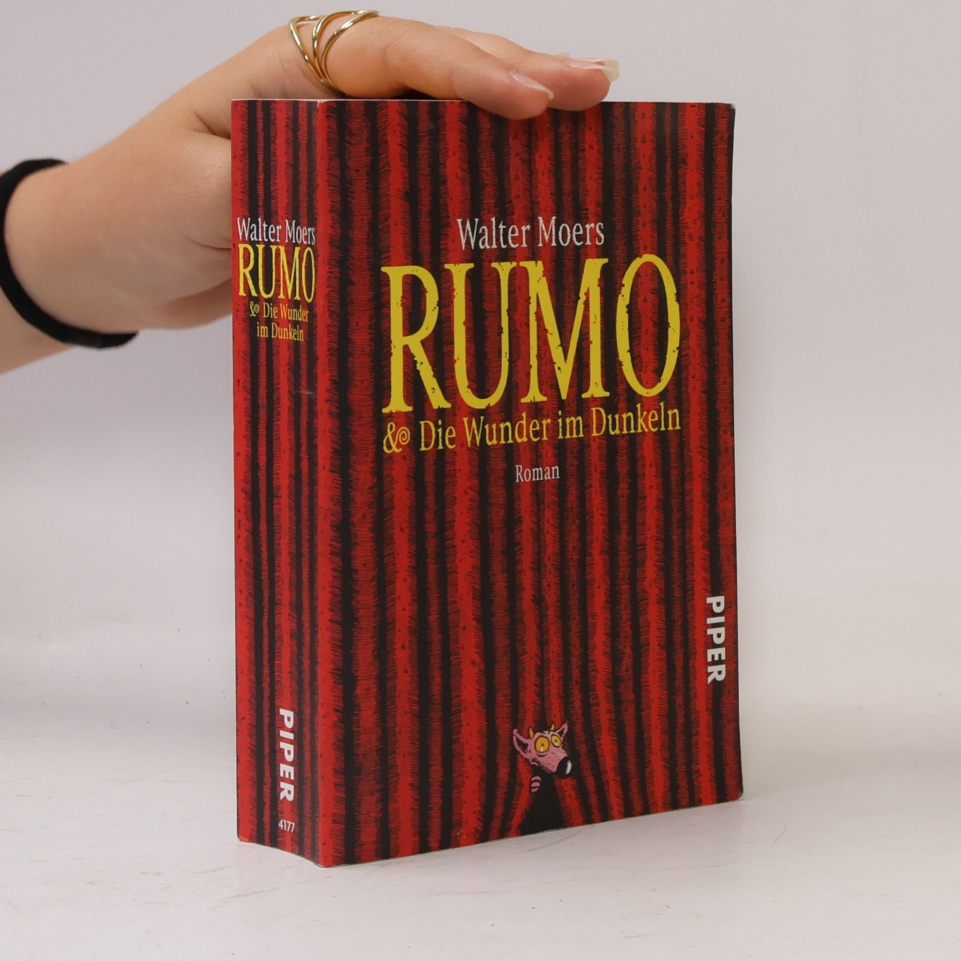 Rumo & Die Wunder im Dunkeln