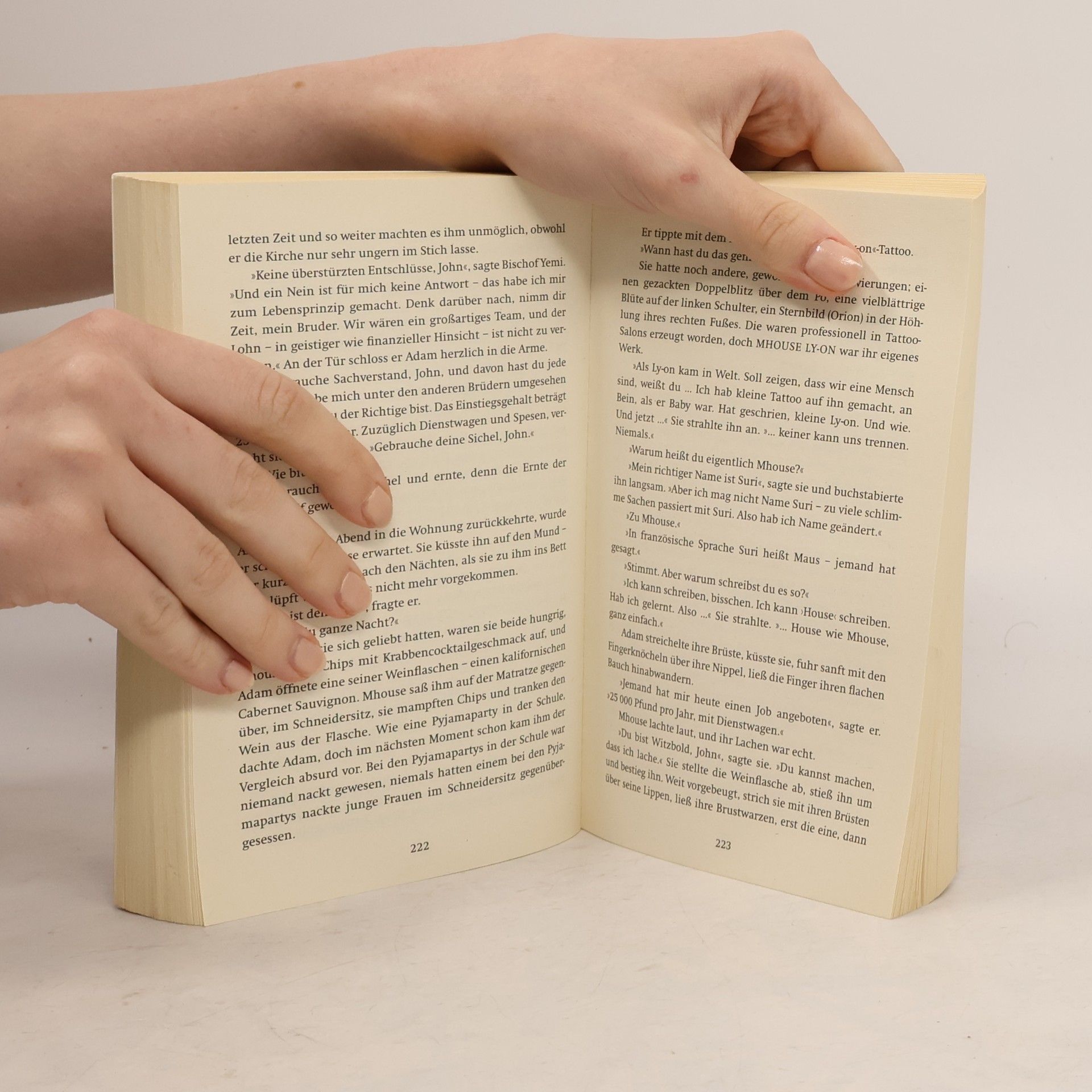 William Boyd Einfache Gewitter