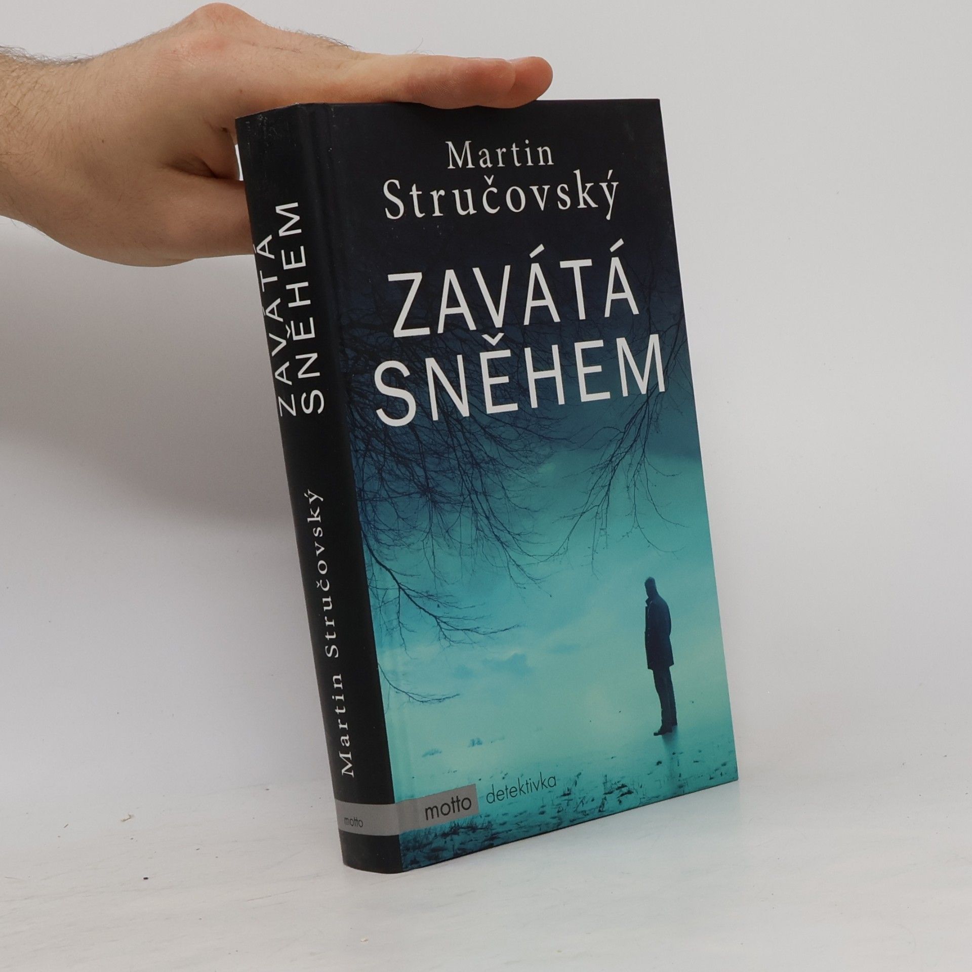Martin Stručovský Zavátá sněhem