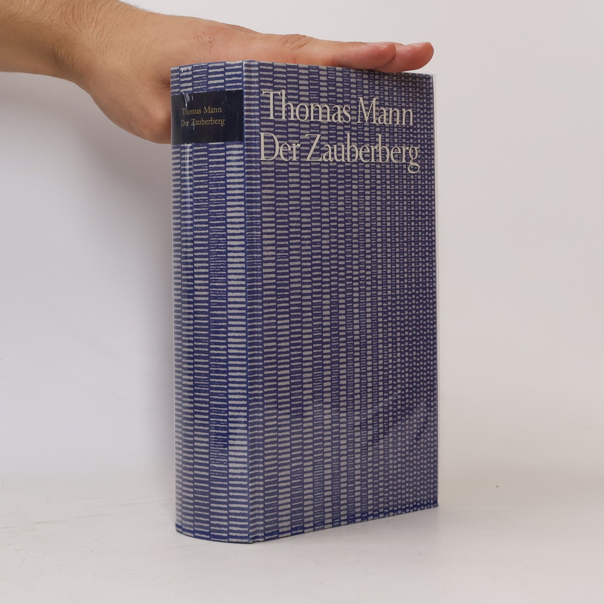 Thomas Mann Der Zaubergerg