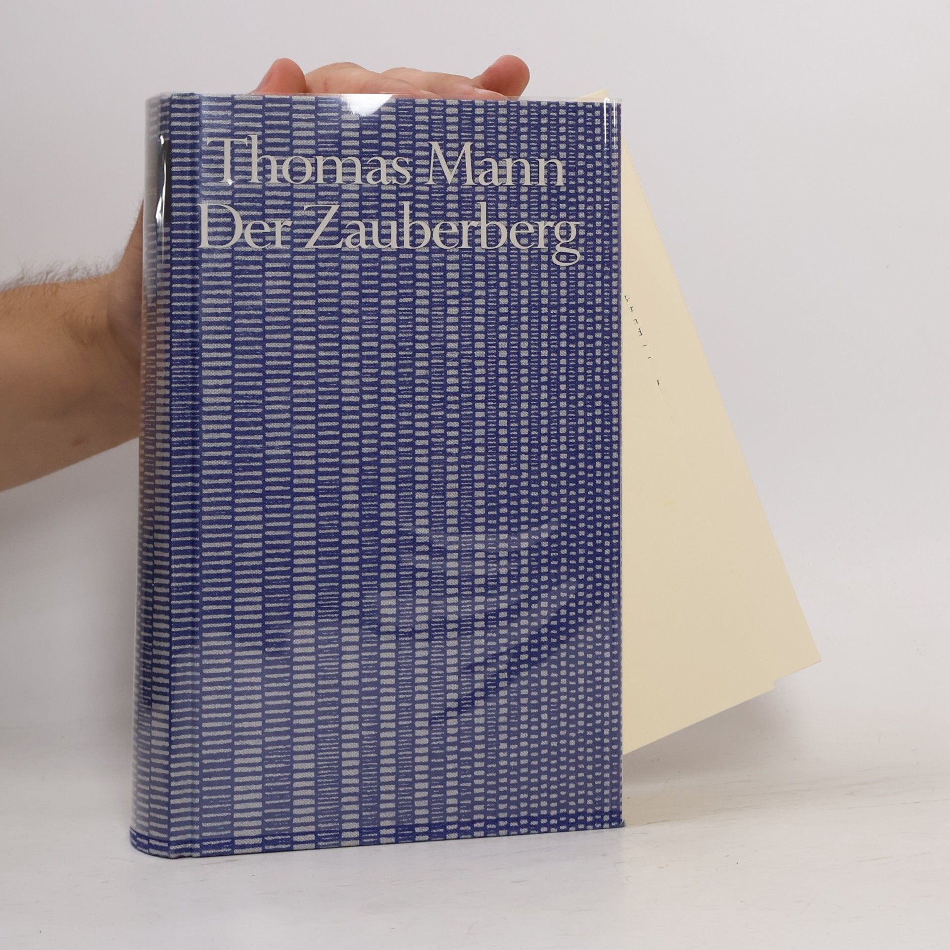 Thomas Mann Der Zaubergerg