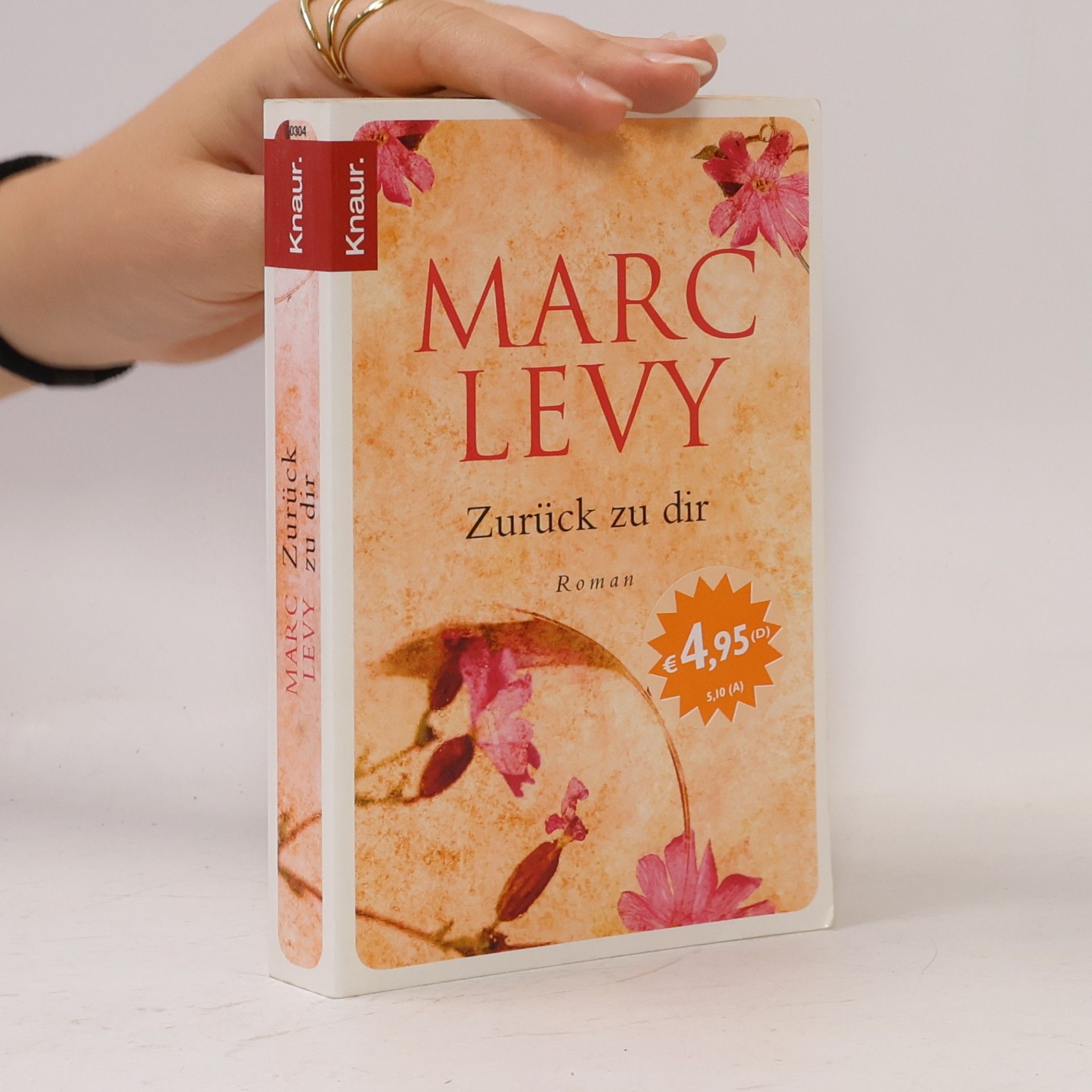 Marc Lévy Zurück zu dir