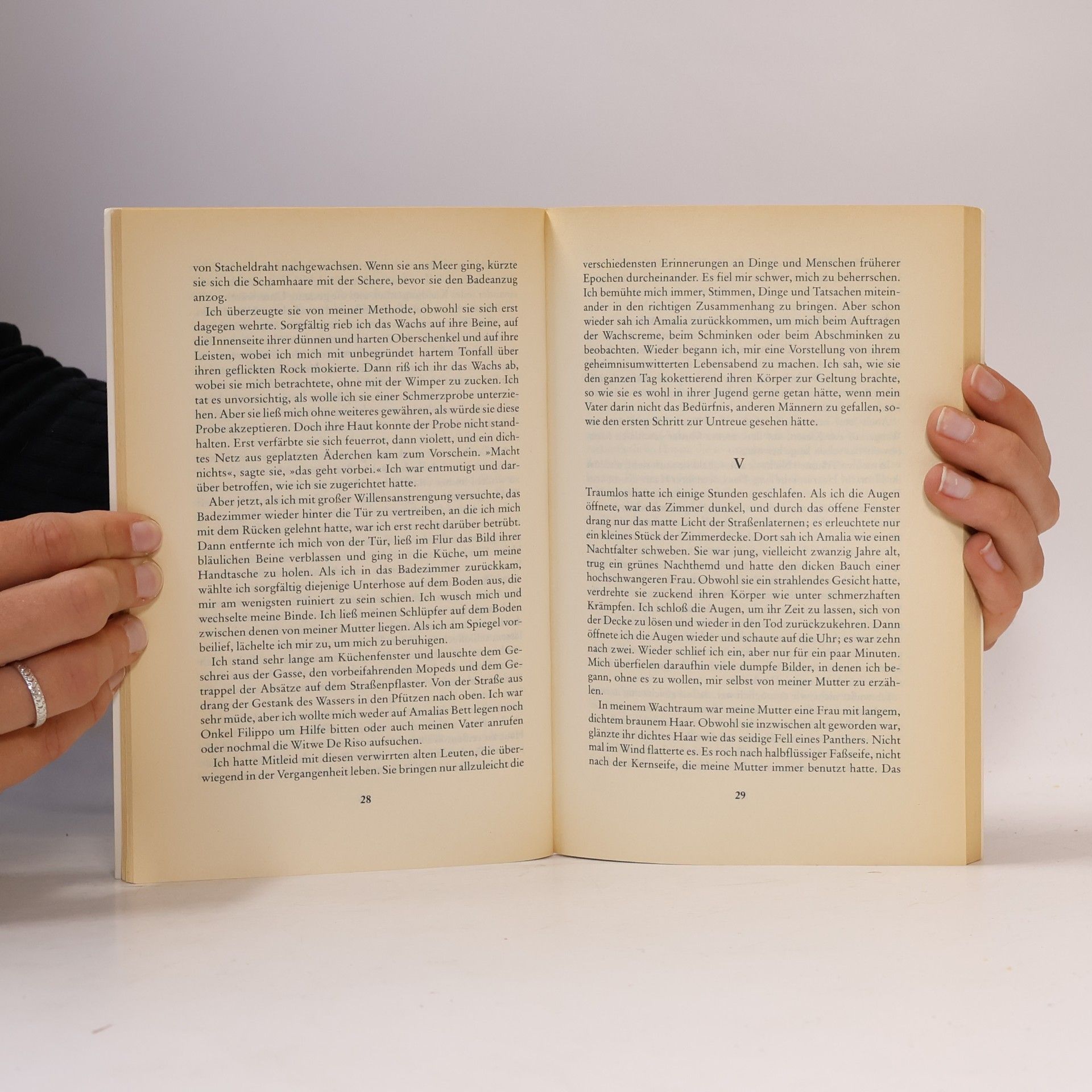 Elena Ferrante Lästige Liebe