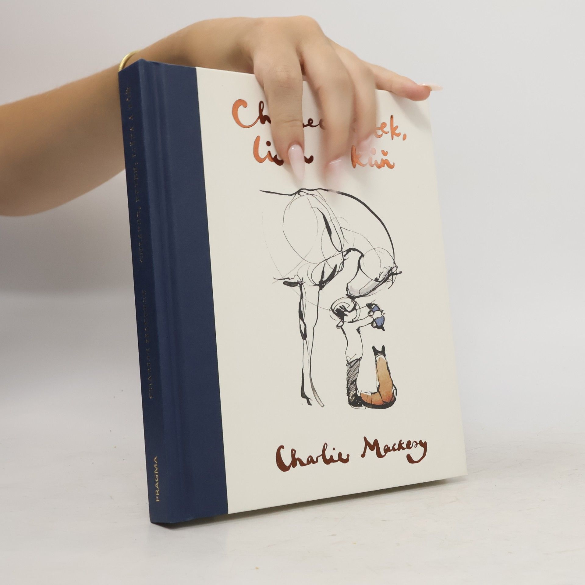 Charlie Mackesy Chlapec, krtek, liška a kůň