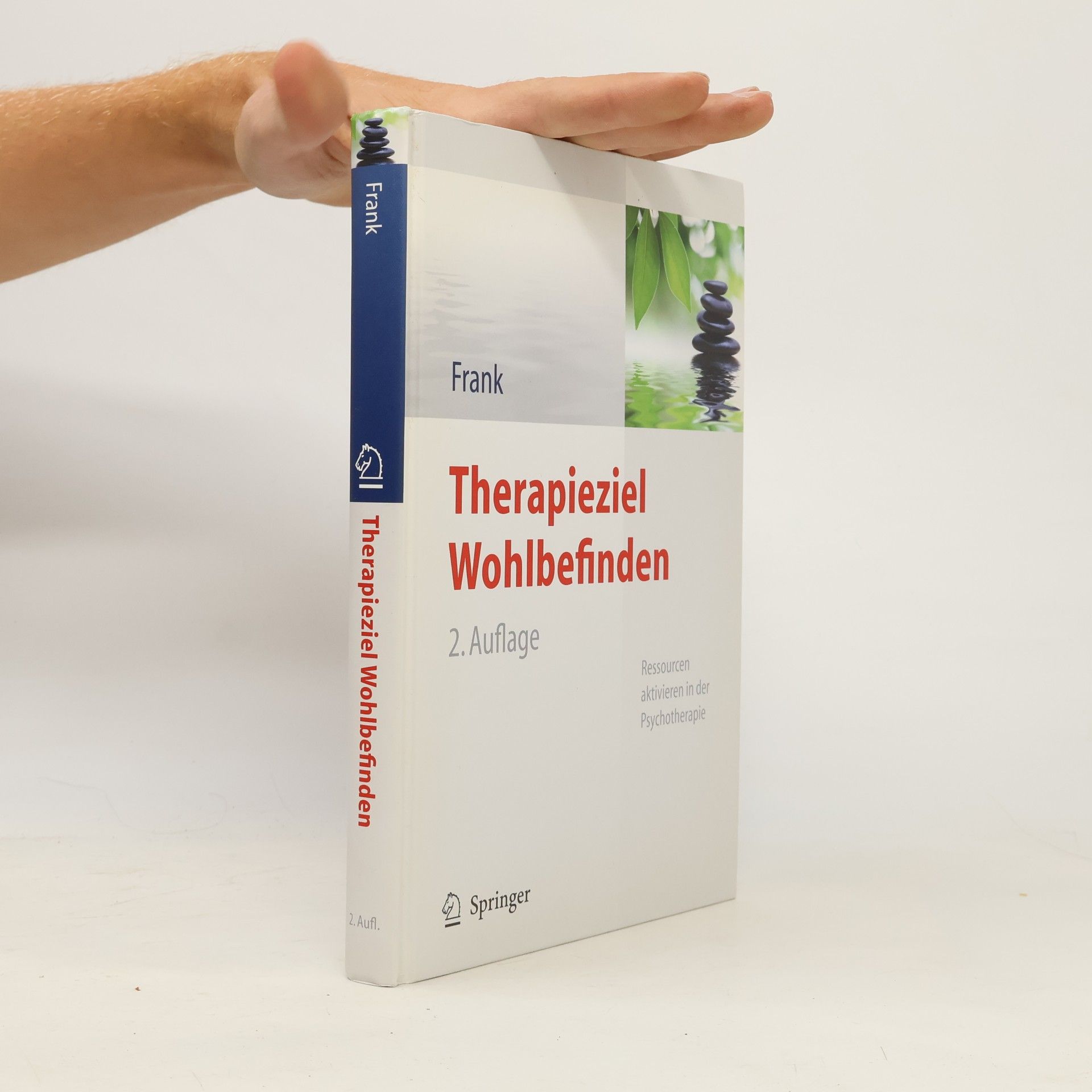 Renate Frank Therapieziel Wohlbefinden - 2. Auflage